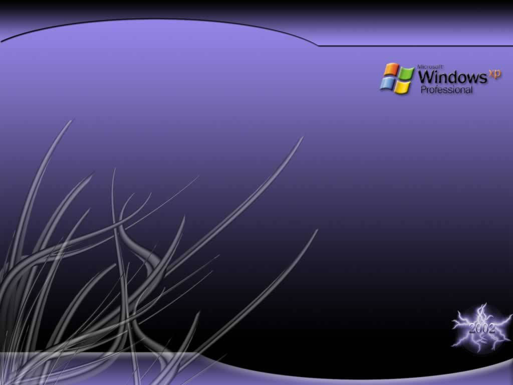 Xp 桌布 壁紙 — 抽象紫色漸層桌布，帶有銀色草狀筆觸，右上角有Windows XP Professional標誌。