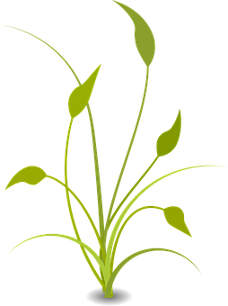 抽象綠色植物插圖 壁紙