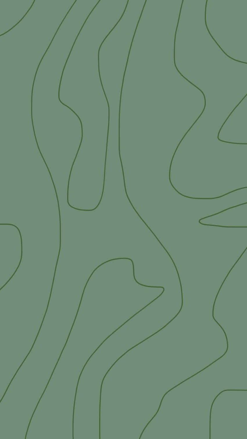 圖案 桌布 壁紙 — 抽象綠色背景，流動的深色線條營造出極簡有機圖案。