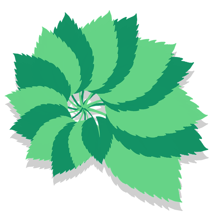 抽象綠葉設計 壁紙