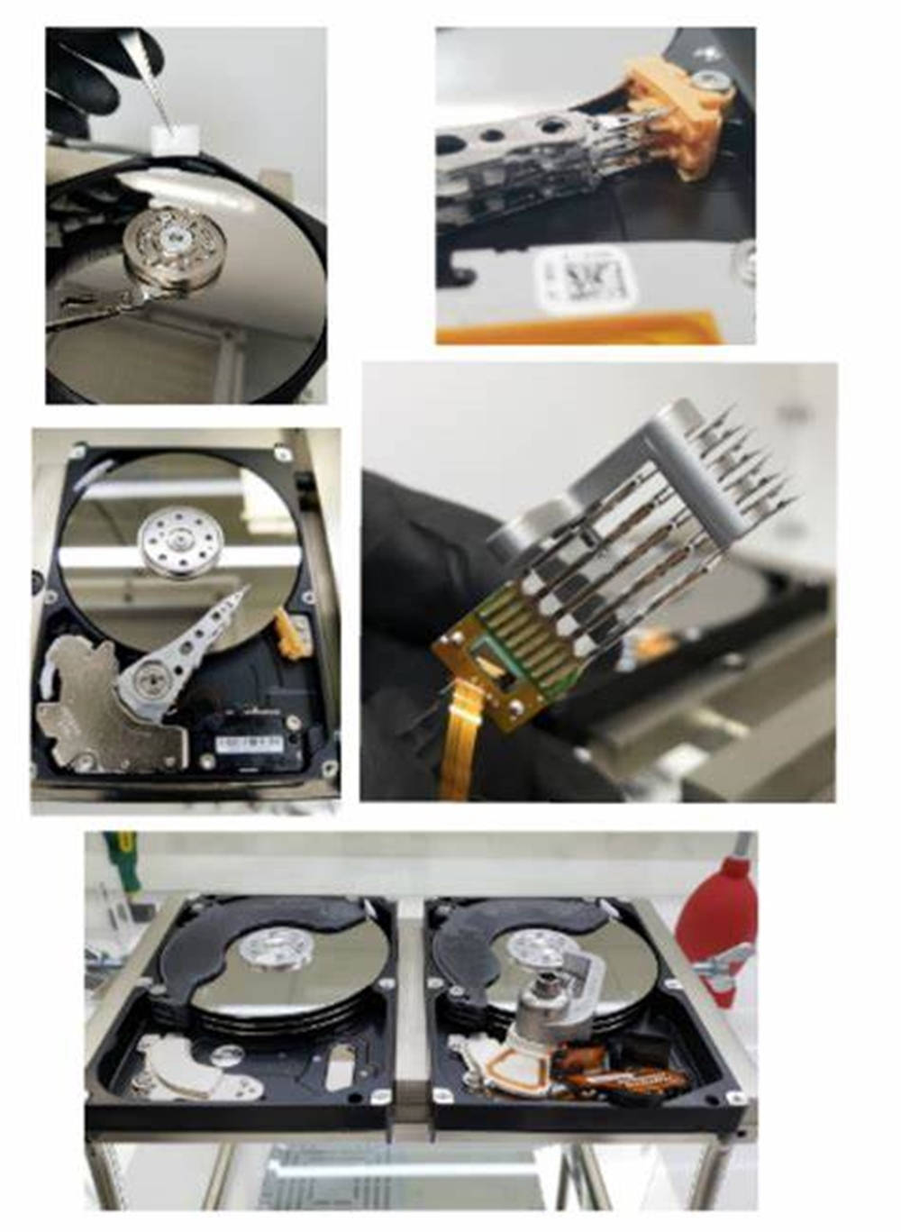 Hard Drive 桌布 壁紙 — 拆解硬碟機的特寫鏡頭，揭示內部組件，例如旋轉碟片和讀寫頭。