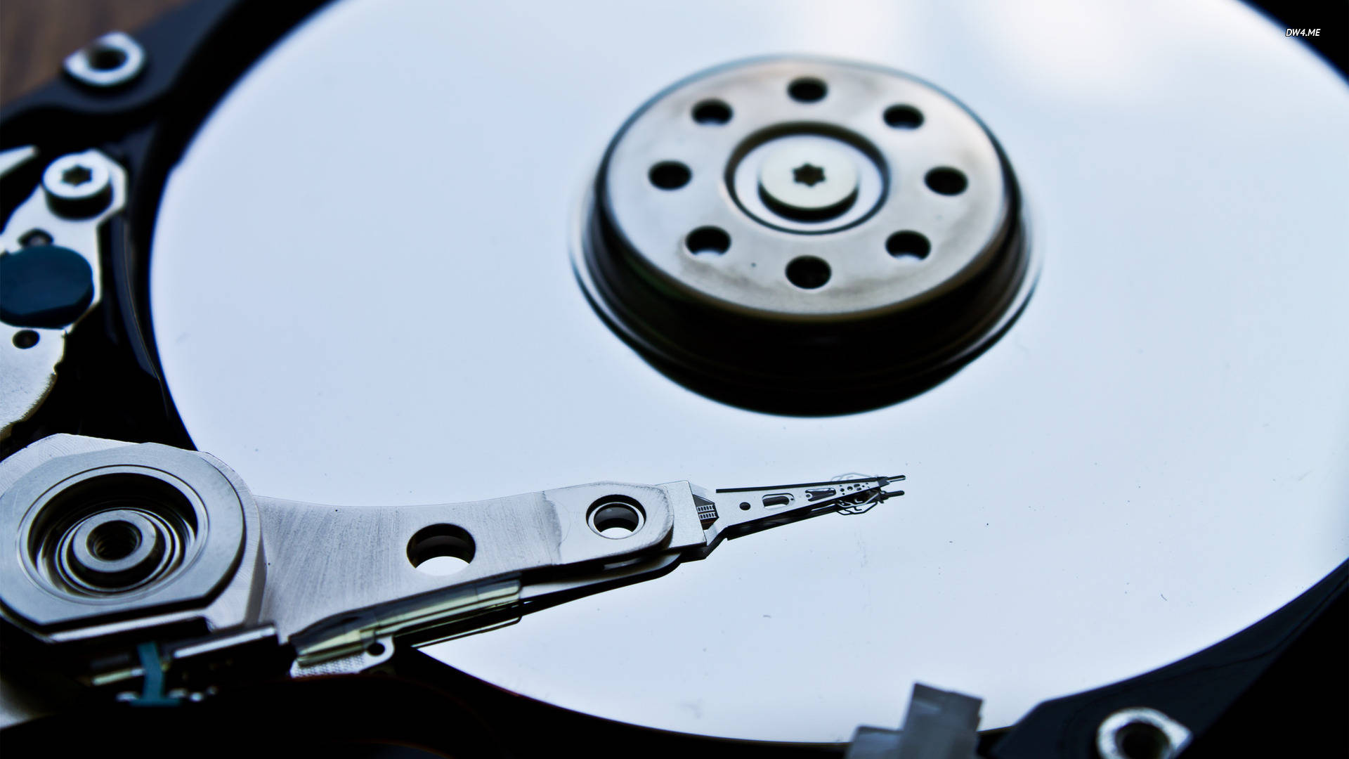 Hard Drive 桌布 壁紙 — 拆解硬碟的特寫，露出閃亮的碟片和精密的讀寫頭。