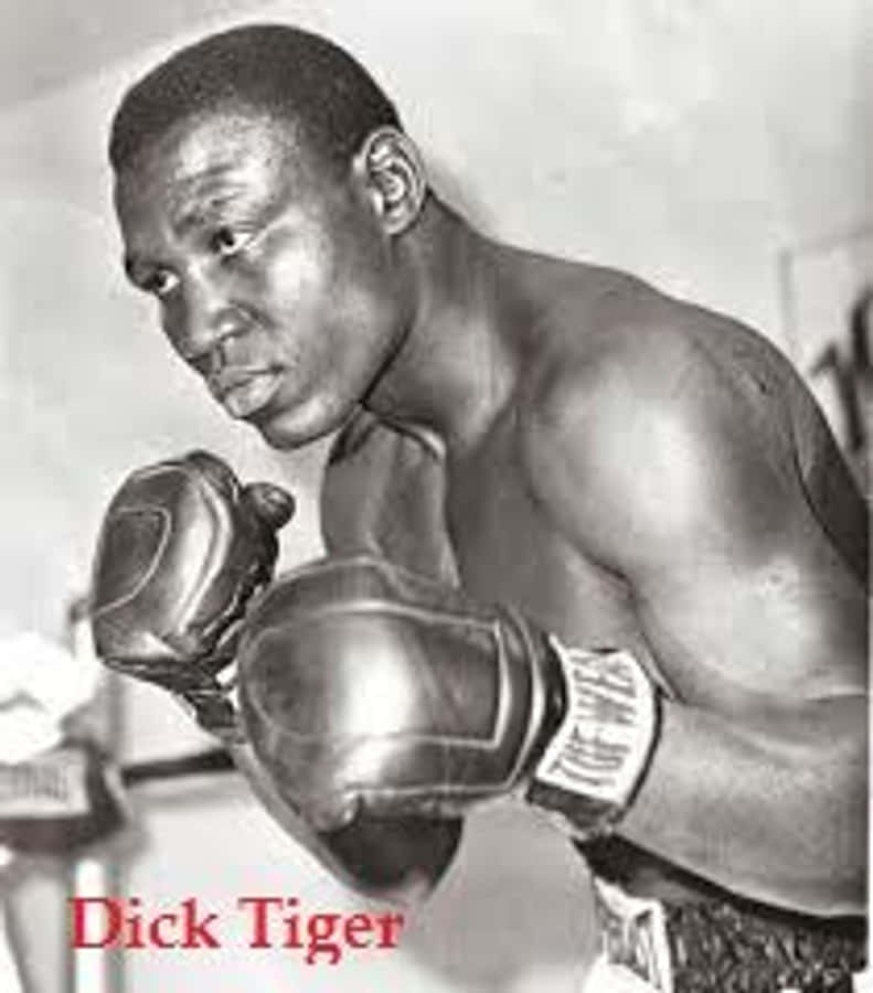 boxer 桌布 壁紙 — 拳擊手 Dick Tiger 的黑白肖像，戴著手套，擺出戰鬥姿勢，表情專注。