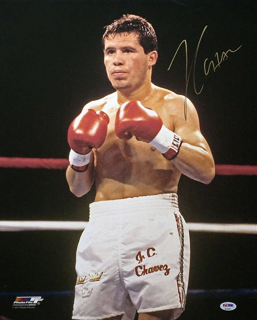 運動 桌布 壁紙 — 拳擊手 Julio Cesar Chavez 站在擂台上，戴著紅色手套和繡有他名字的白色短褲，在明亮的燈光下神情專注。