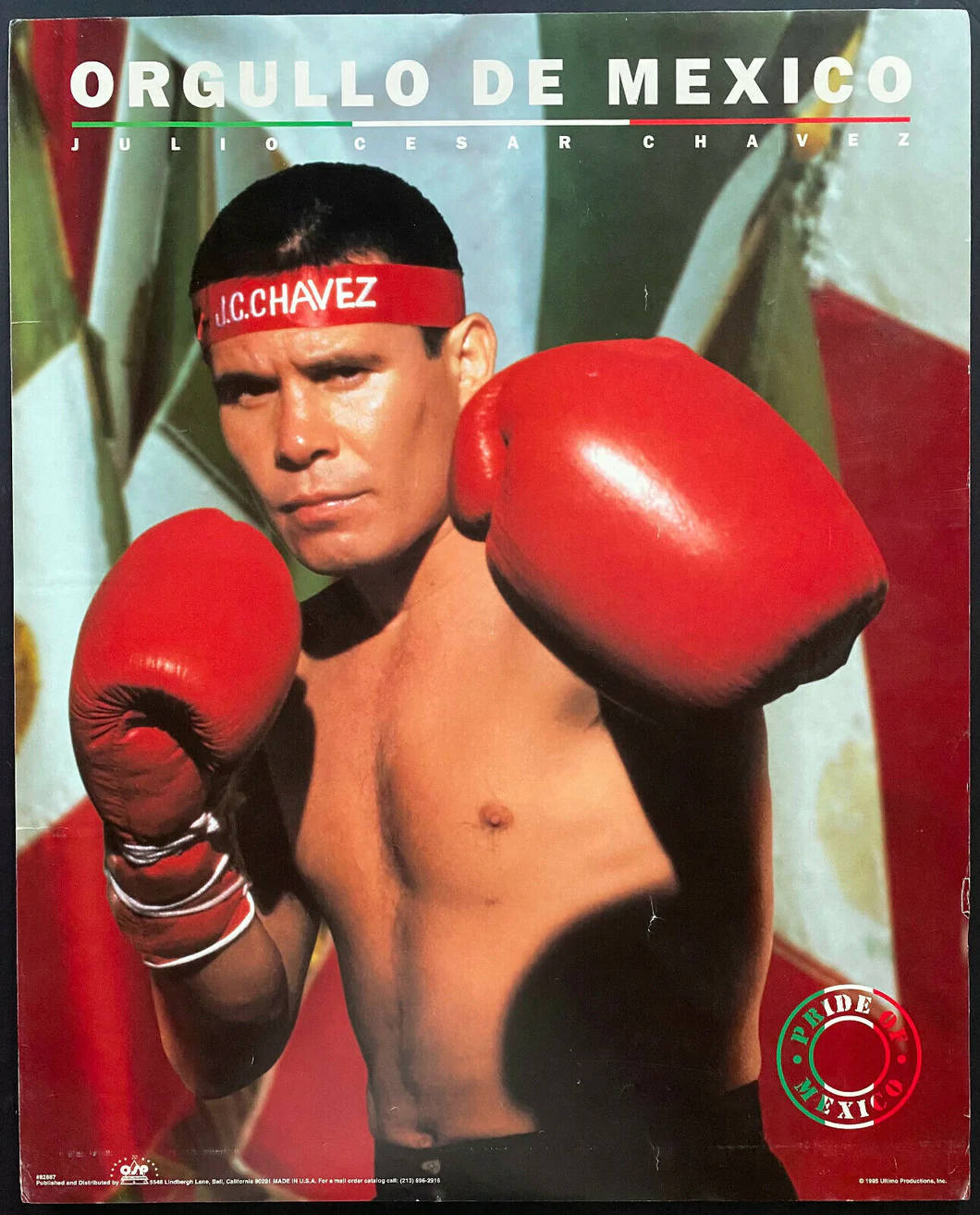 墨西哥國旗 桌布 壁紙 — 拳擊手 Julio Cesar Chavez 戴著紅色拳套，在墨西哥國旗背景下凝視。