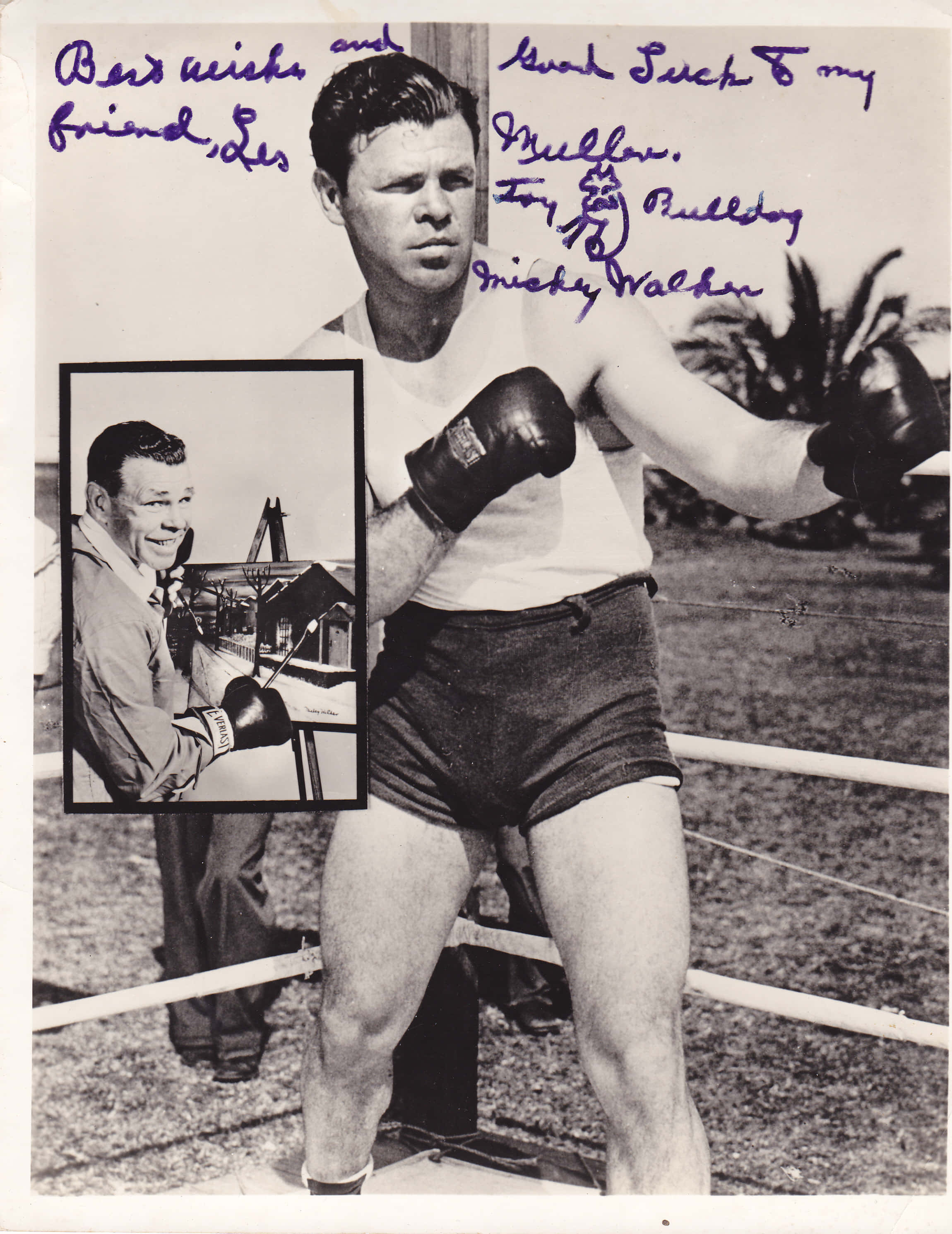 boxer 桌布 壁紙 — 拳擊手 Mickey Walker 在擂台姿勢的復古黑白照片，附有插圖照片和手寫簽名。