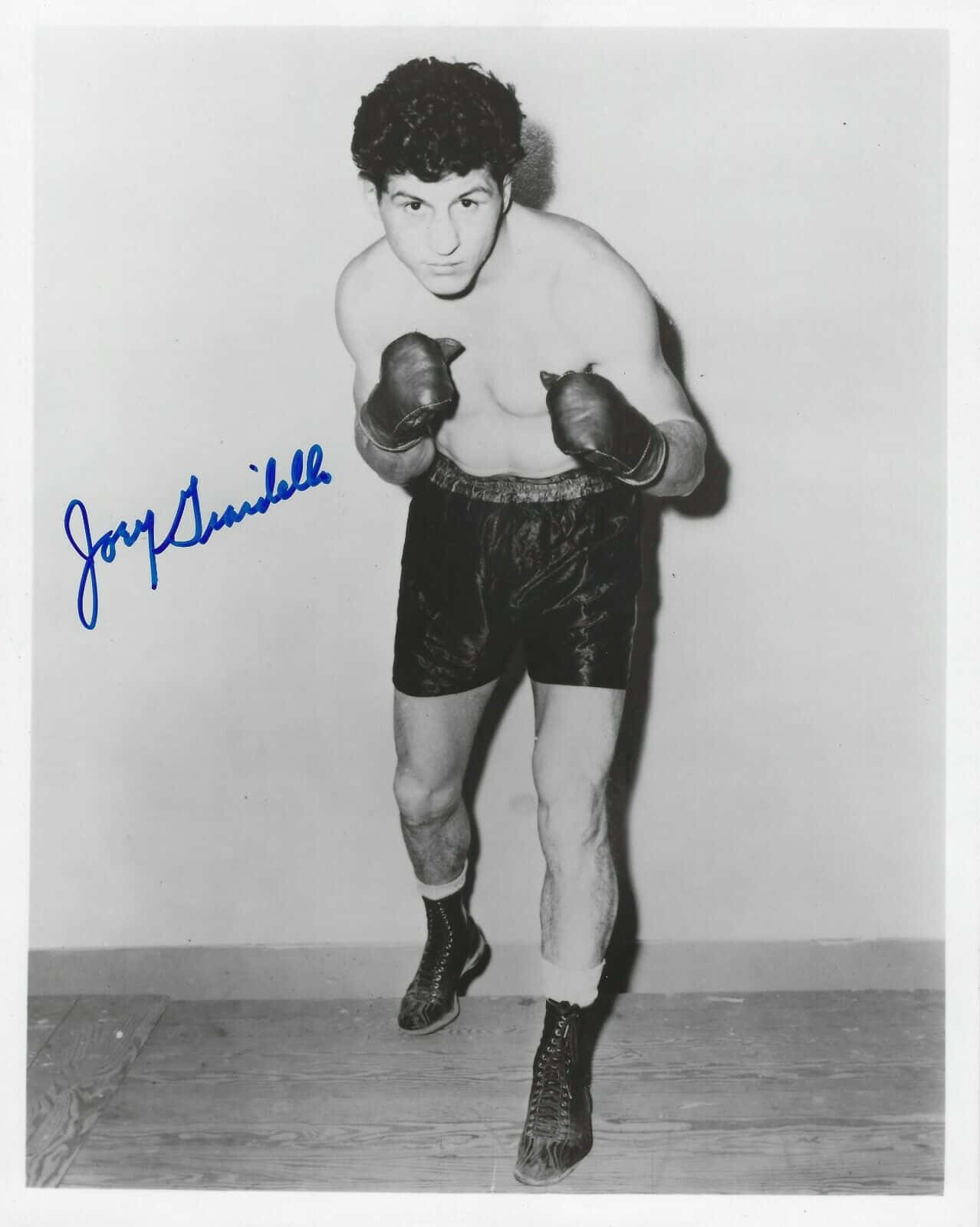 boxer 桌布 壁紙 — 拳擊手Joey Giardello戴上手套和短褲、擺出戰鬥姿勢的黑白照片。
