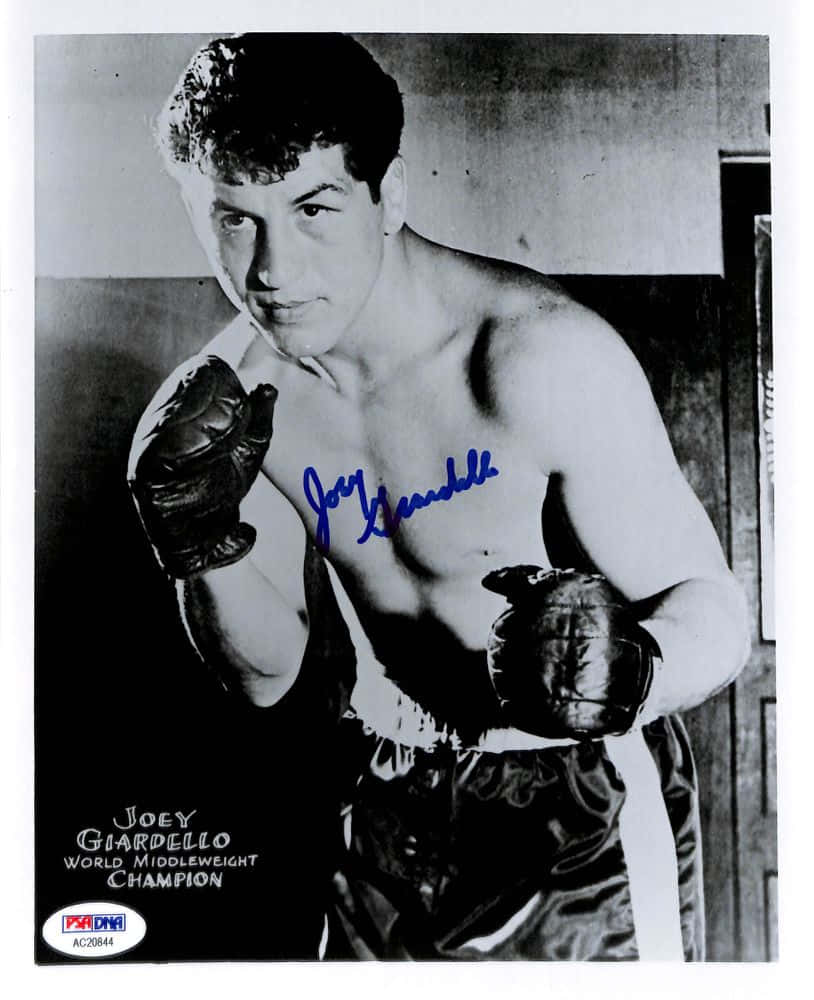 boxer 桌布 壁紙 — 拳擊手Joey Giardello戴著手套和短褲，自信地擺姿勢並附有簽名的黑白肖像。