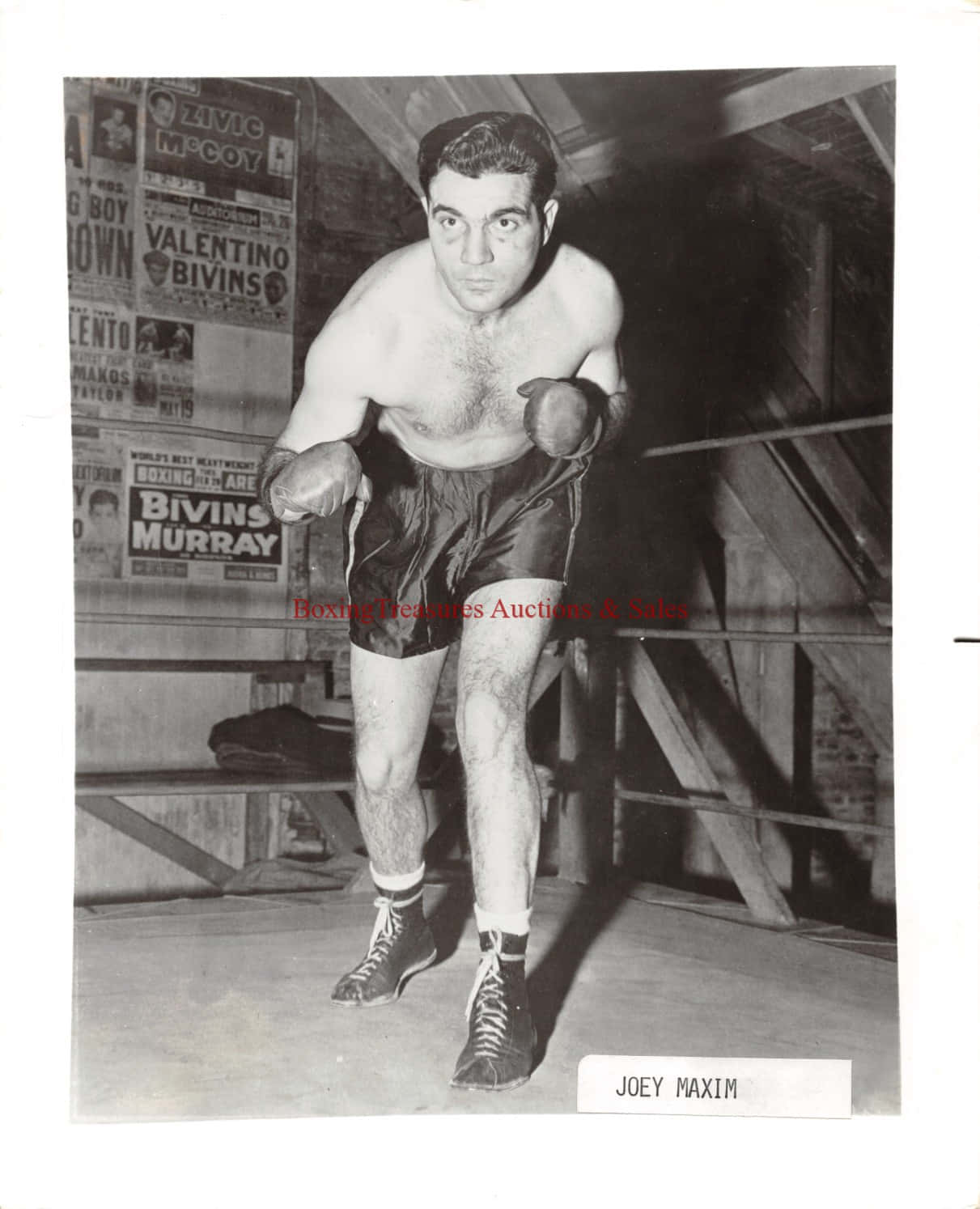 Boxing 桌布 壁紙 — 拳擊手Joey Maxim在擂台上擺出戰鬥姿勢的黑白照片，繩索上貼有海報。