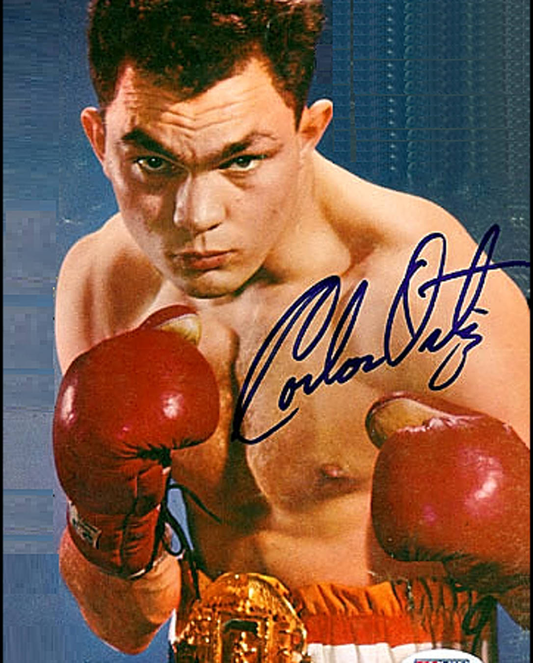 Boxing 桌布 壁紙 — 拳擊手卡洛斯·奧爾蒂斯戴上紅色手套和冠軍腰帶，近距離凝視鏡頭的強烈特寫。
