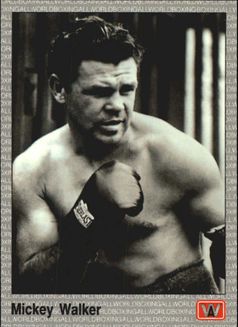 boxer 桌布 壁紙 — 拳擊手米奇·沃克在健身房內戴著手套擺出戰鬥姿勢的黑白肖像。