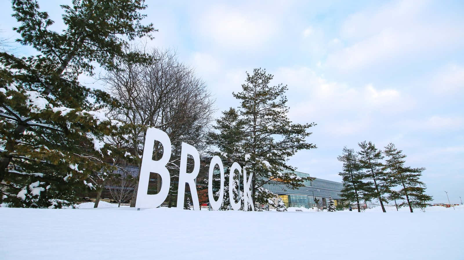 Snowy 桌布 壁紙 — 拼寫BROOK的大型白色字母矗立在深雪中，旁邊是常綠樹，天空多雲的冬日天空下。