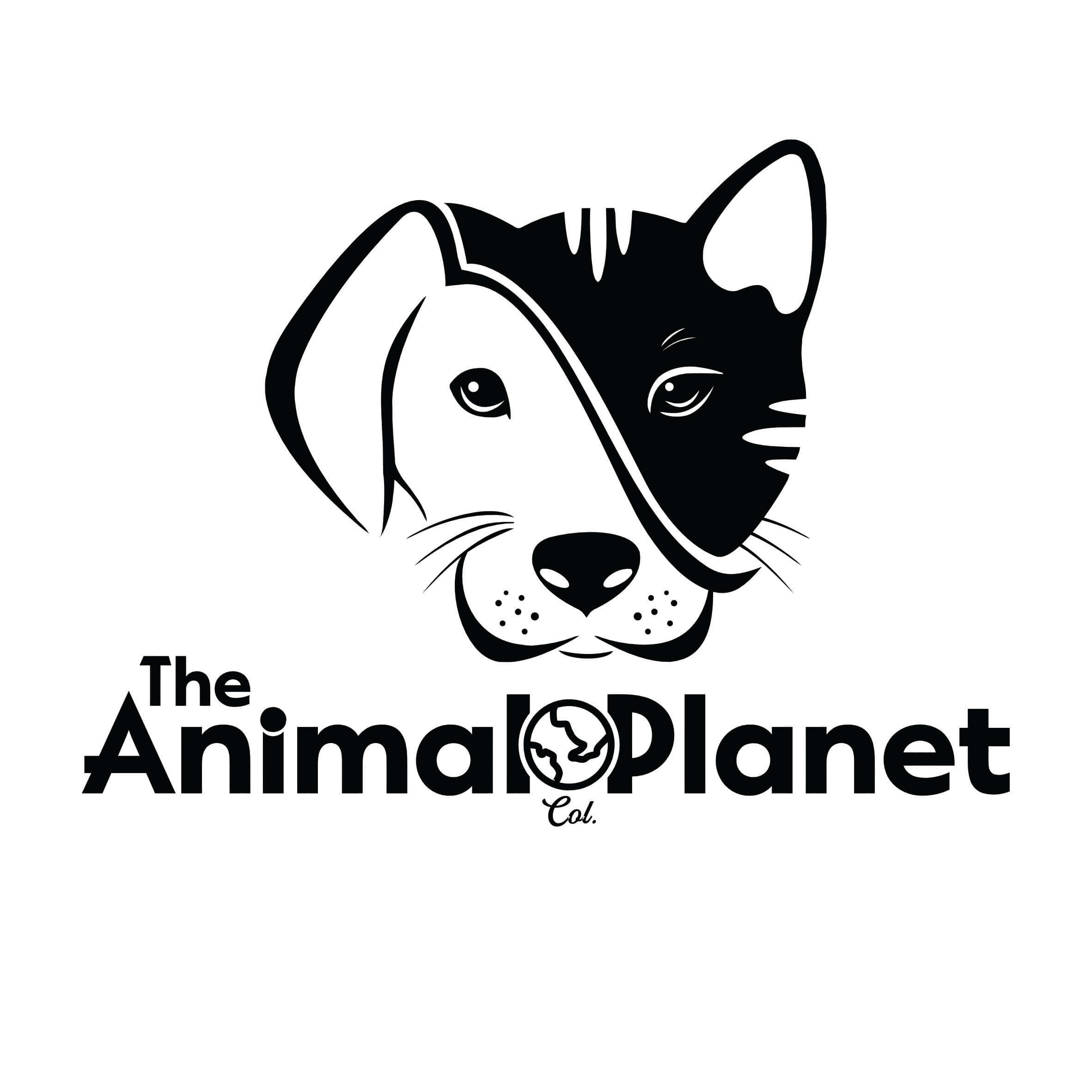 探索動物星球頻道 - 世上最驚嘆動物的家園！ 壁紙