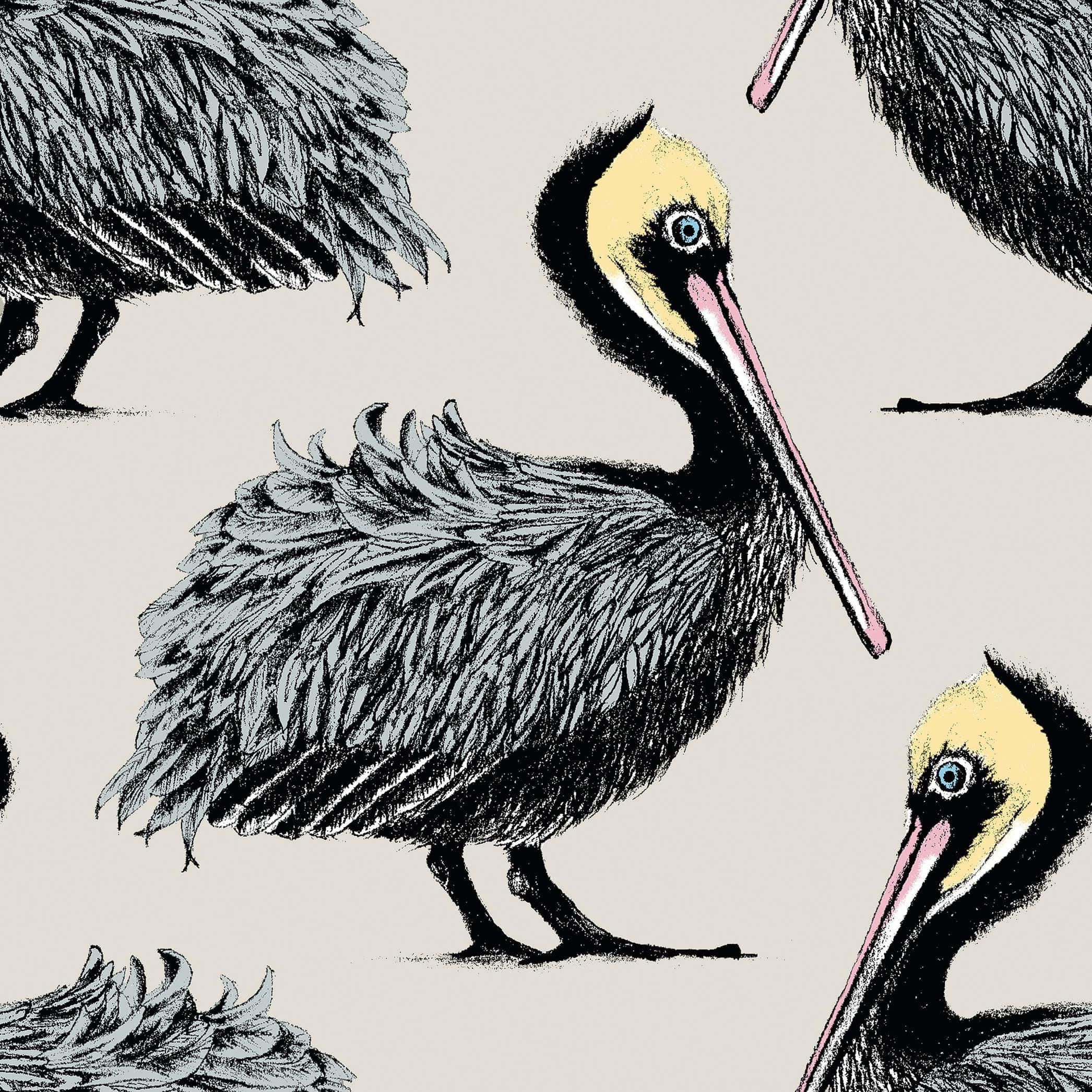 Pelicans 桌布 壁紙 — 插圖中的鵜鶘帶有細緻的羽毛紋理和黃色頭部，站在柔和的米色背景前。