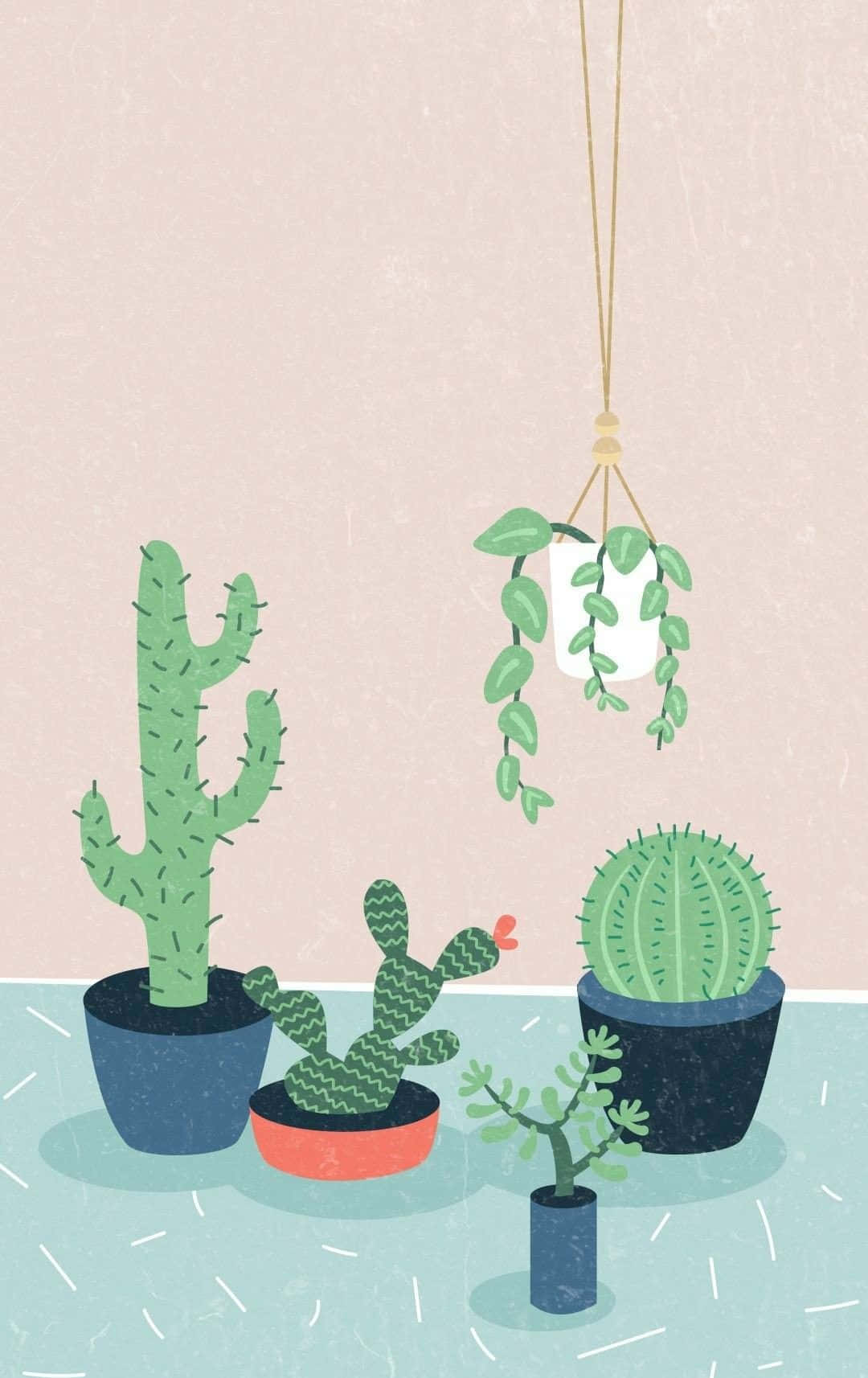 Cactus 桌布 壁紙 — 插圖室內植物，包括仙人掌和懸掛藤蔓，放在彩色花盆中，背景是柔和的粉紅色牆壁。