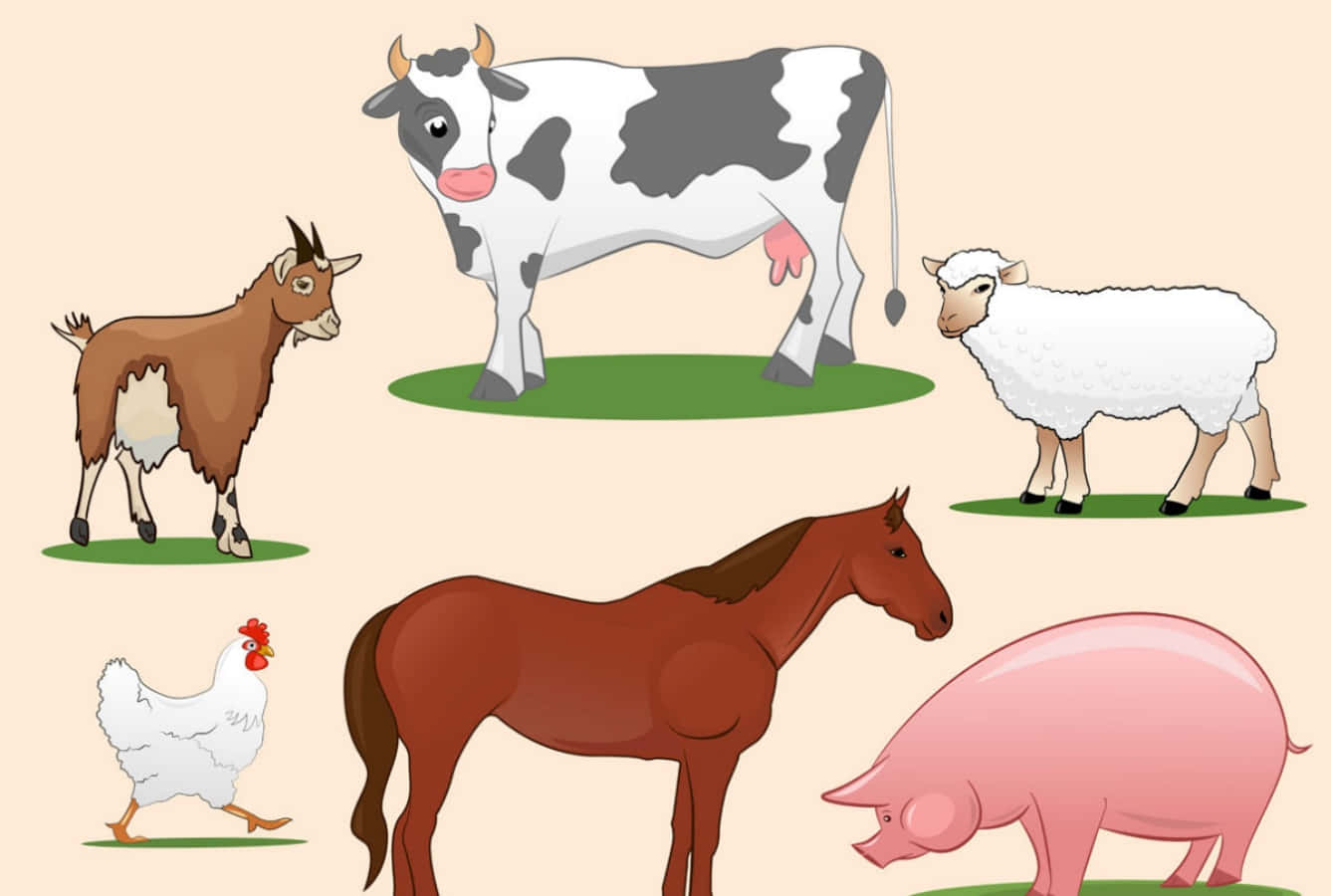 剪貼畫 桌布 壁紙 — 插圖農場動物，包括牛、山羊、綿羊、馬、雞和豬，站在米色背景上的綠色斑塊上。