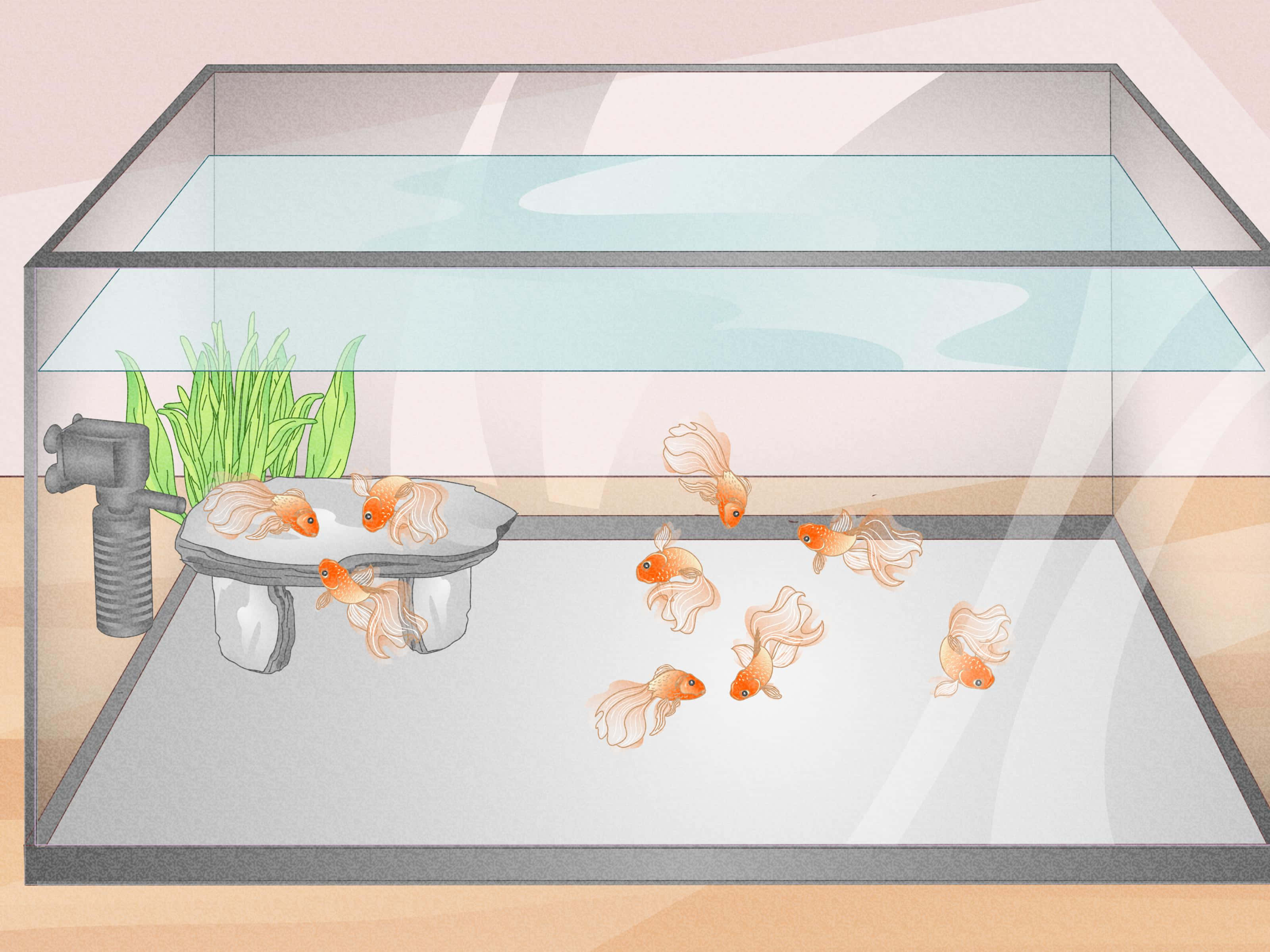 桌布 壁紙 — 插圖金魚在乾淨的水族箱中優雅地游動，水族箱內有綠色植物和灰色過濾器。