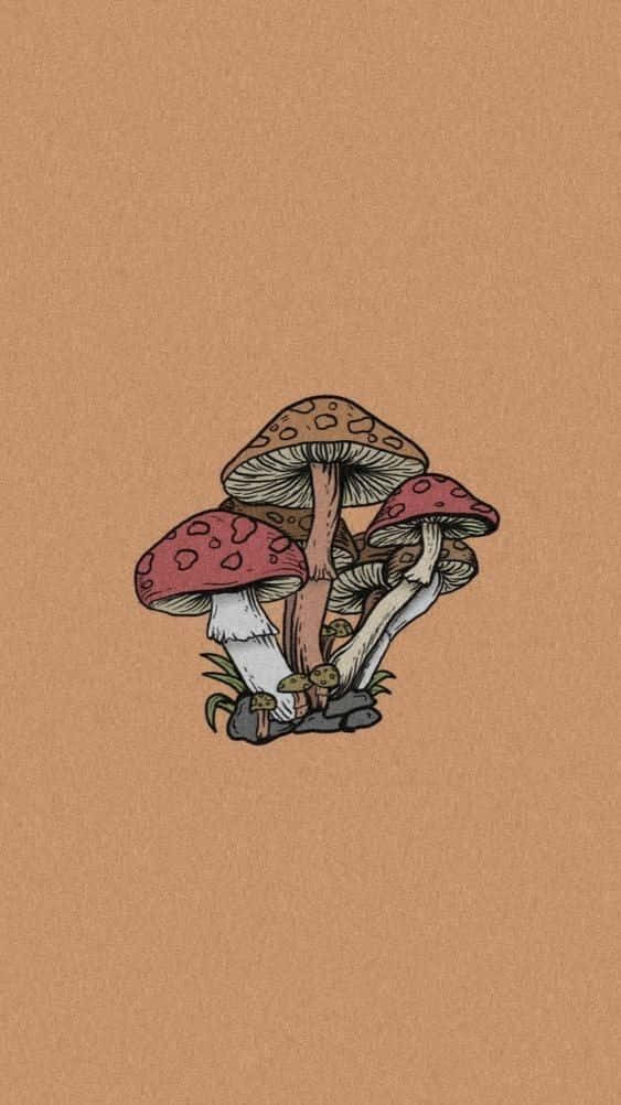 Mushroom Aesthetic 桌布 壁紙 — 插圖風格的一簇紅色斑點蘑菇，白色莖幹，置於有紋理的棕色背景上。