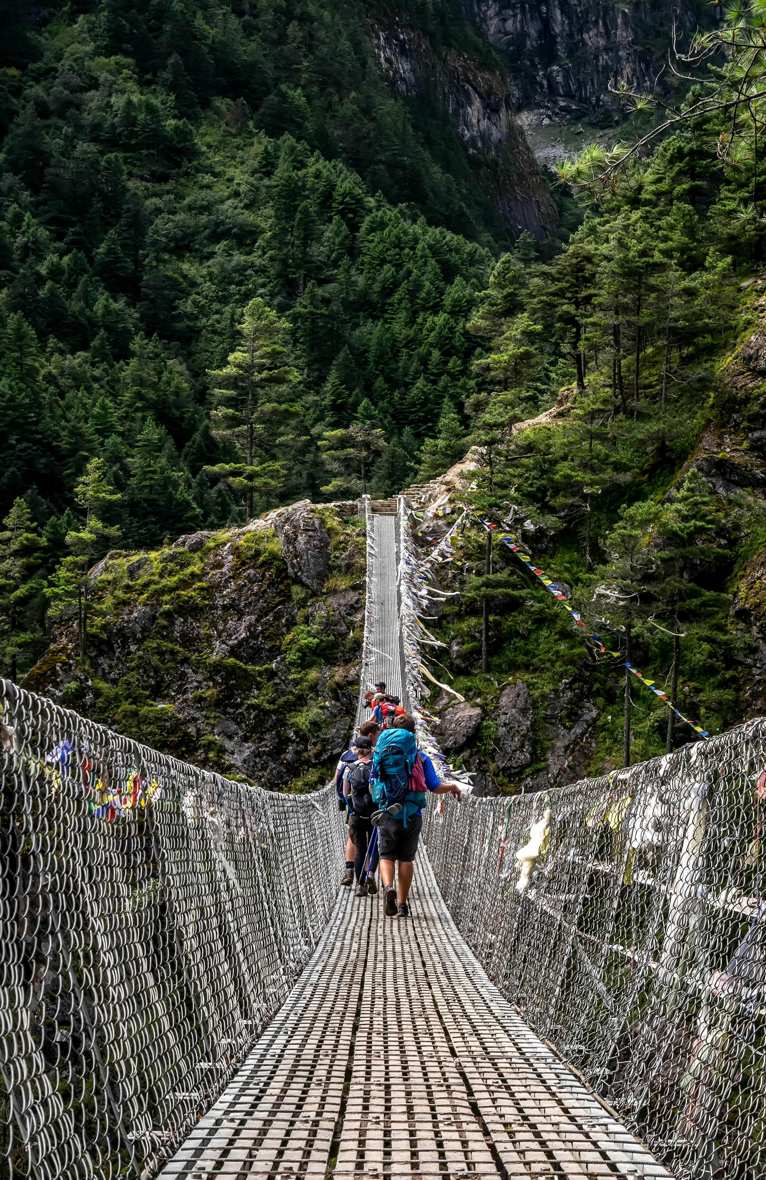 Nepal 桌布 壁紙 — 揹著背包的遠足者穿過一條狹窄的吊橋，跨越深林峽谷，經幡飄揚。