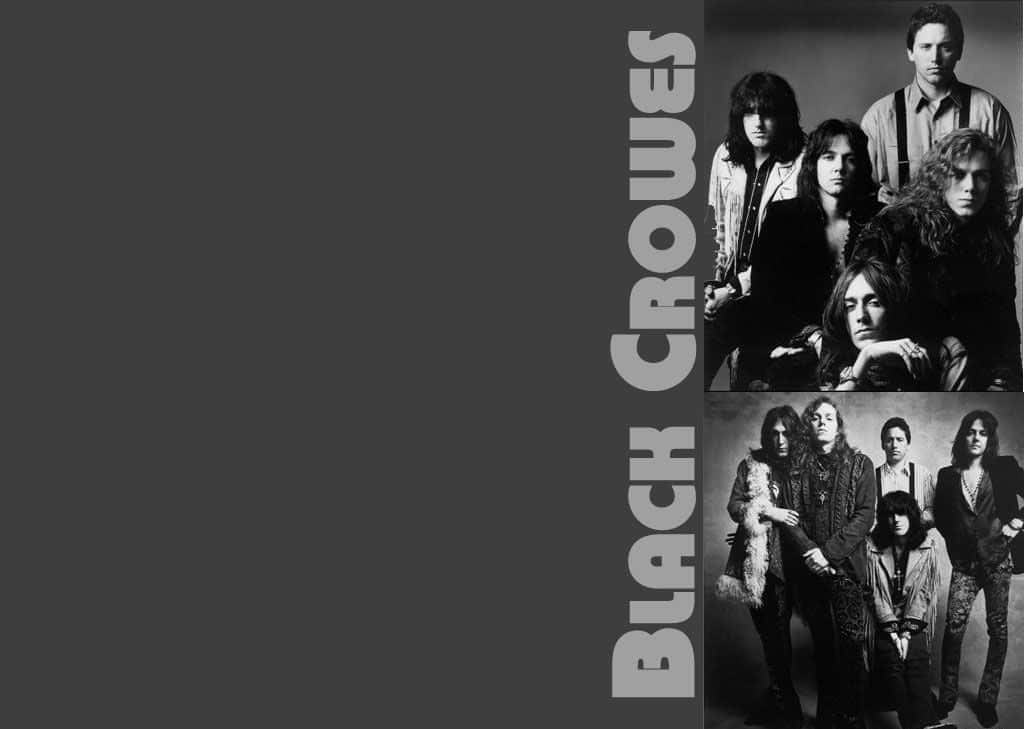 Black Crowes 桌布 壁紙 — 搖滾樂團Black Crowes的黑白肖像，在黑暗的攝影棚背景下拍攝兩張團體照。