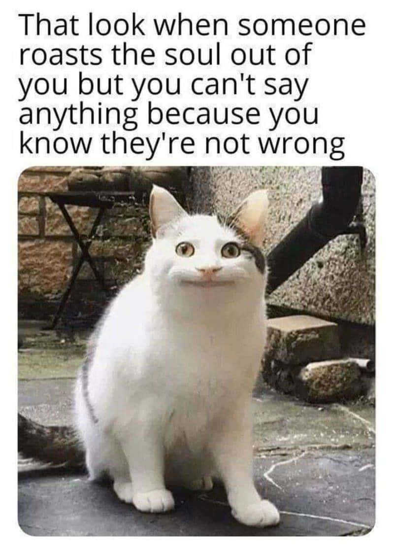搞笑迷因圖片 壁紙