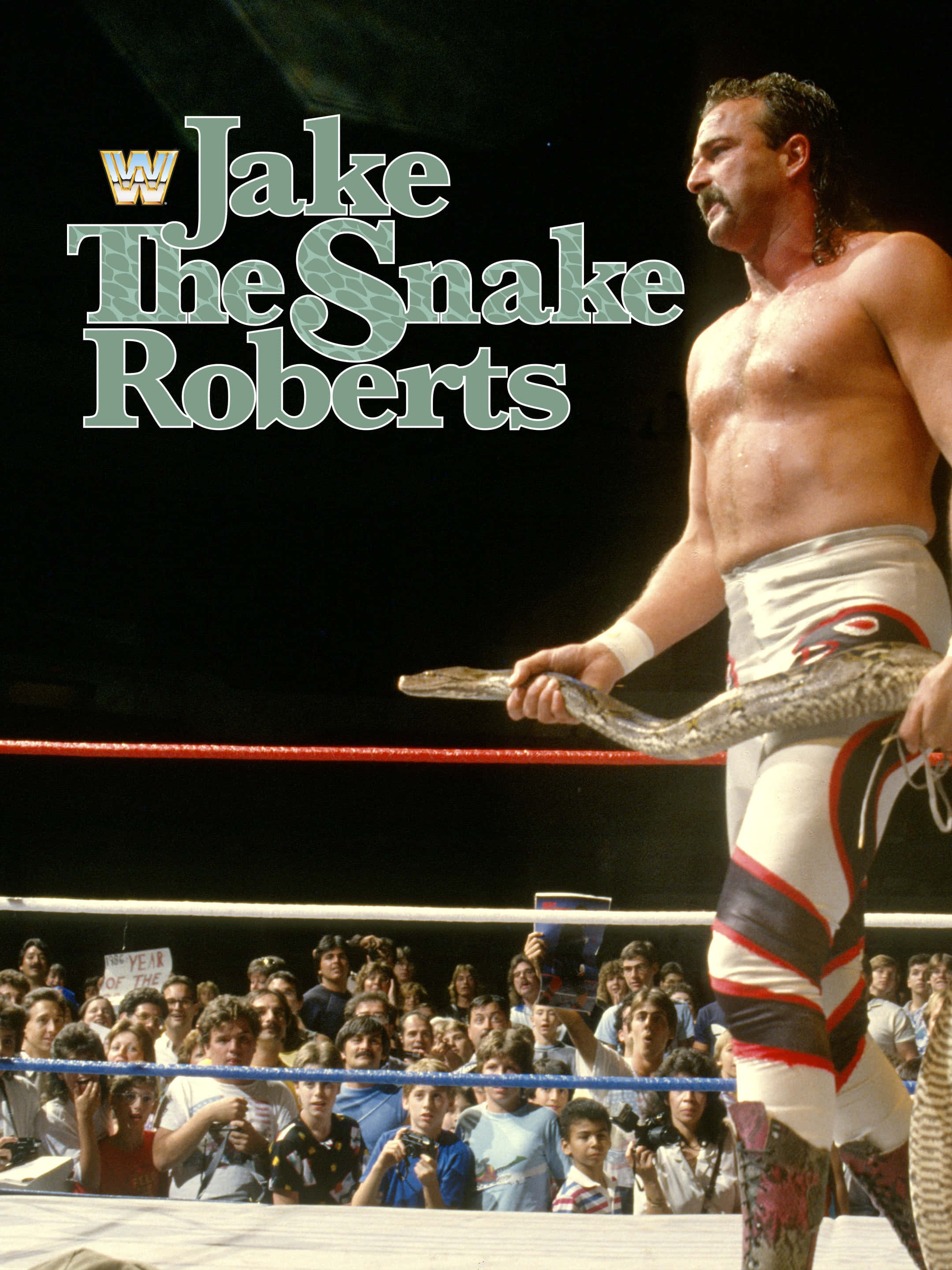 摔角 桌布 壁紙 — 摔角手 Jake The Snake Roberts 站在擂台上，手持一條蛇，身後有群眾歡呼。