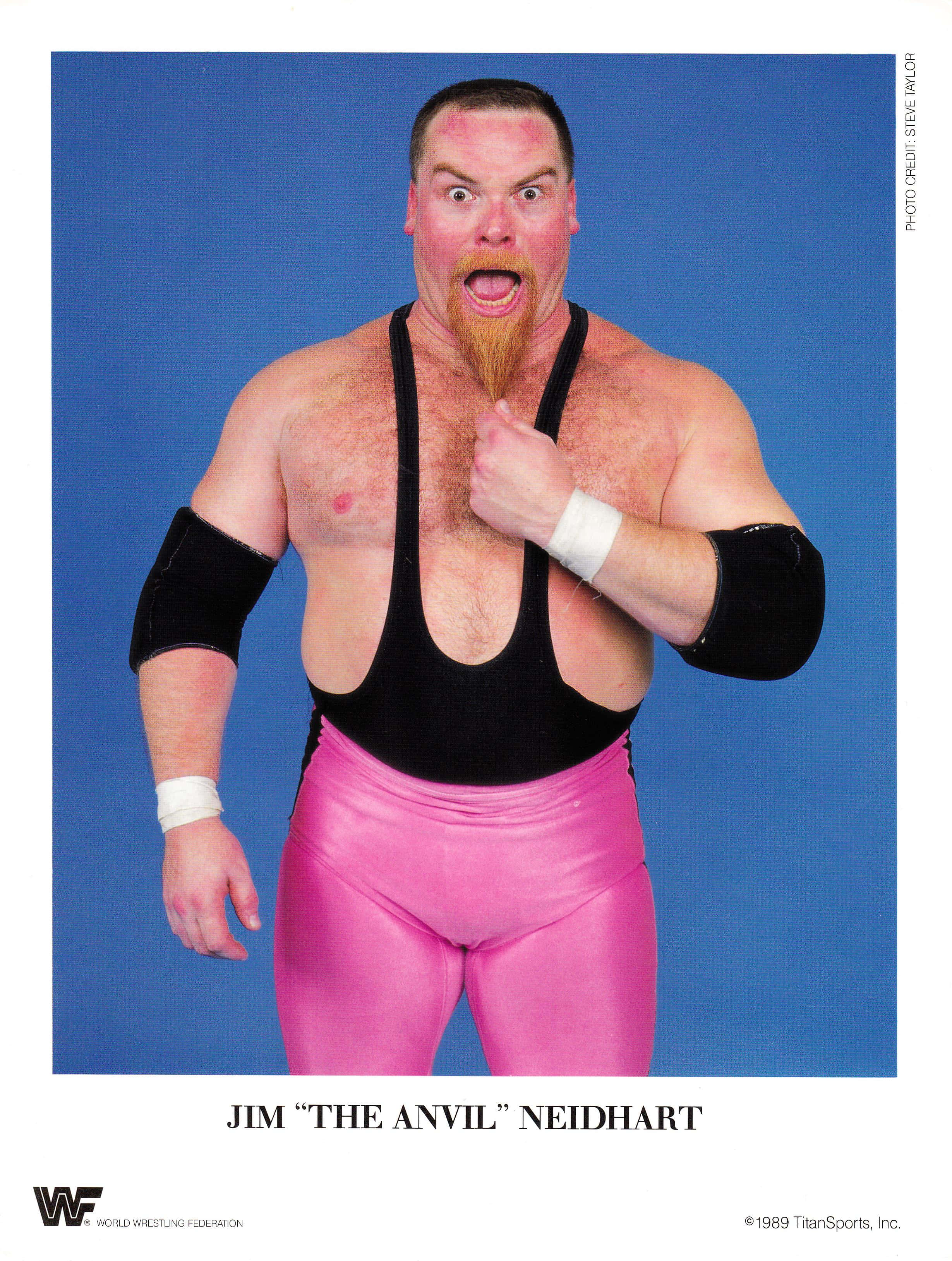 Wrestling 桌布 壁紙 — 摔角手 Jim 'The Anvil' Neidhart 穿著粉紅色緊身褲和黑色背心，在純藍色背景下擺出挑釁姿勢。