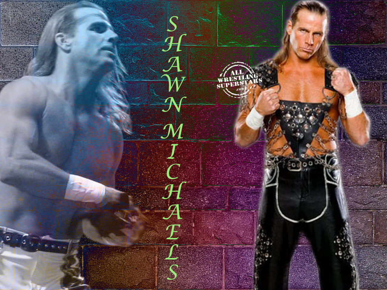 shawn michaels 桌布 壁紙 — 摔角手 Shawn Michaels 以兩個動態姿勢，在色彩繽紛的磚牆前擺姿勢，他的名字垂直顯示。