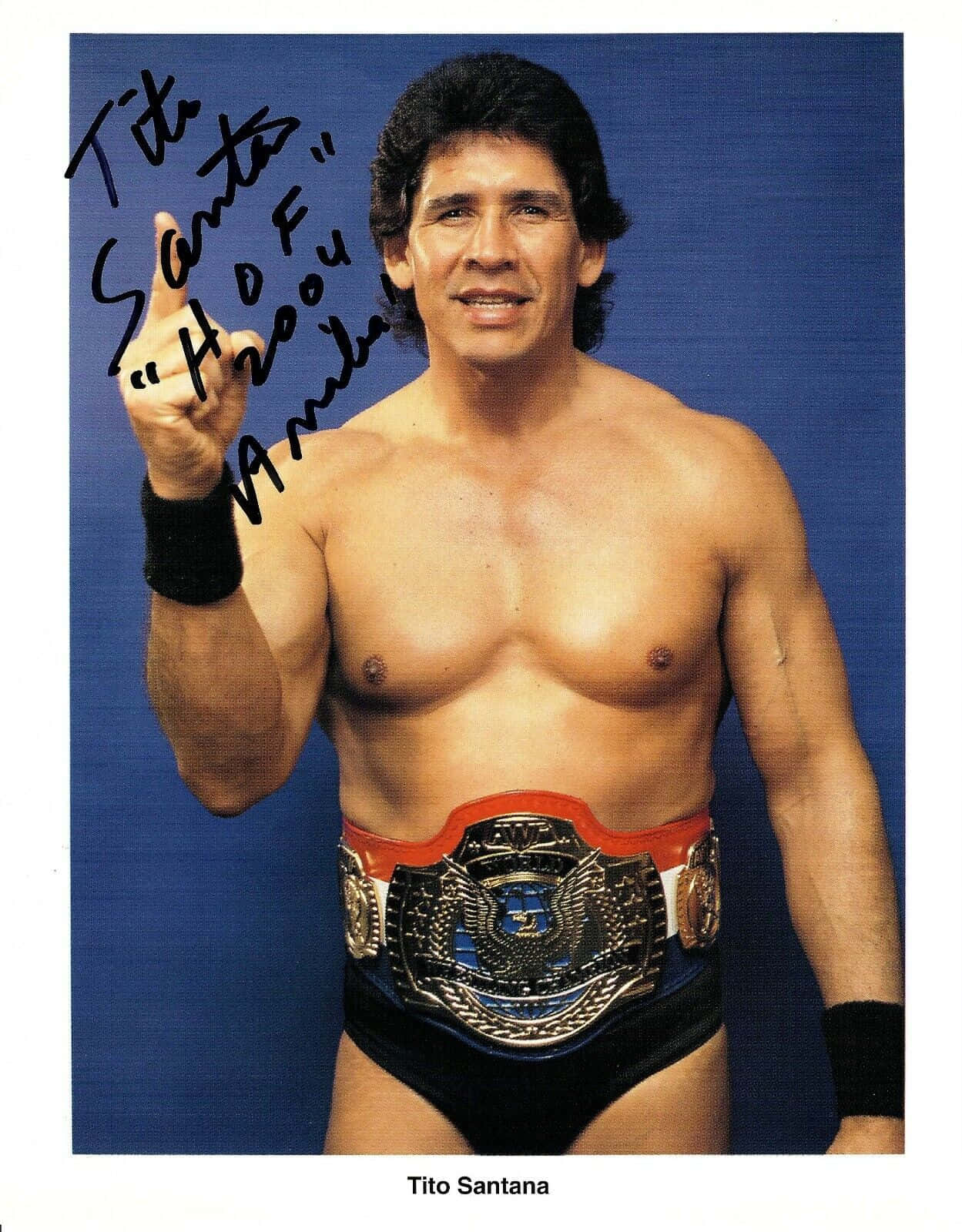WWE 桌布 壁紙 — 摔角手 Tito Santana 自信地穿著冠軍裝備，在純藍色背景前擺姿勢，簽名清晰可見。