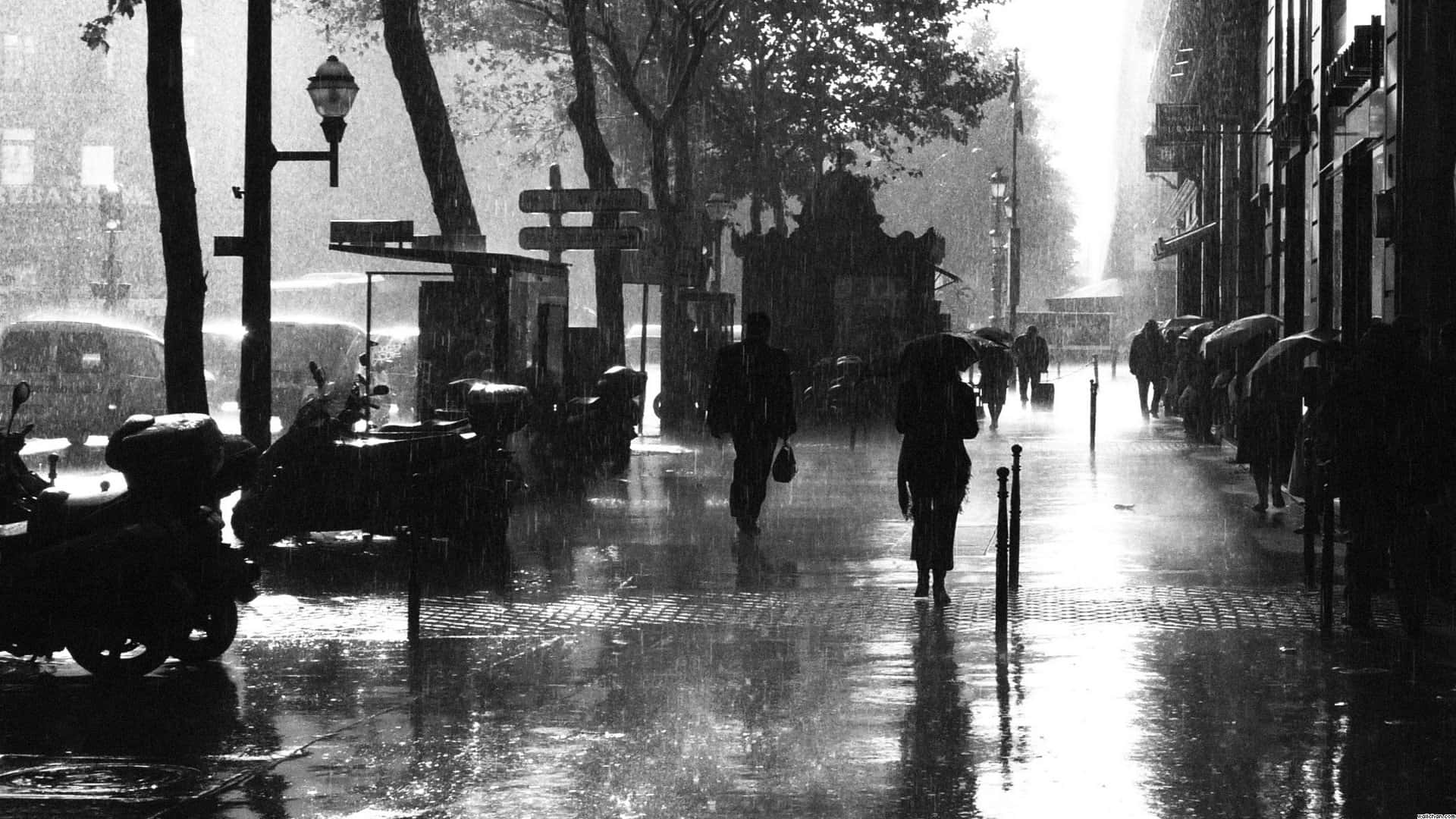 Black And White Storm 桌布 壁紙 — 撐著雨傘的行人剪影走過被雨水浸濕的城市街道，光線穿過霧氣繚繞的樹木，潮濕的路面反射出場景。