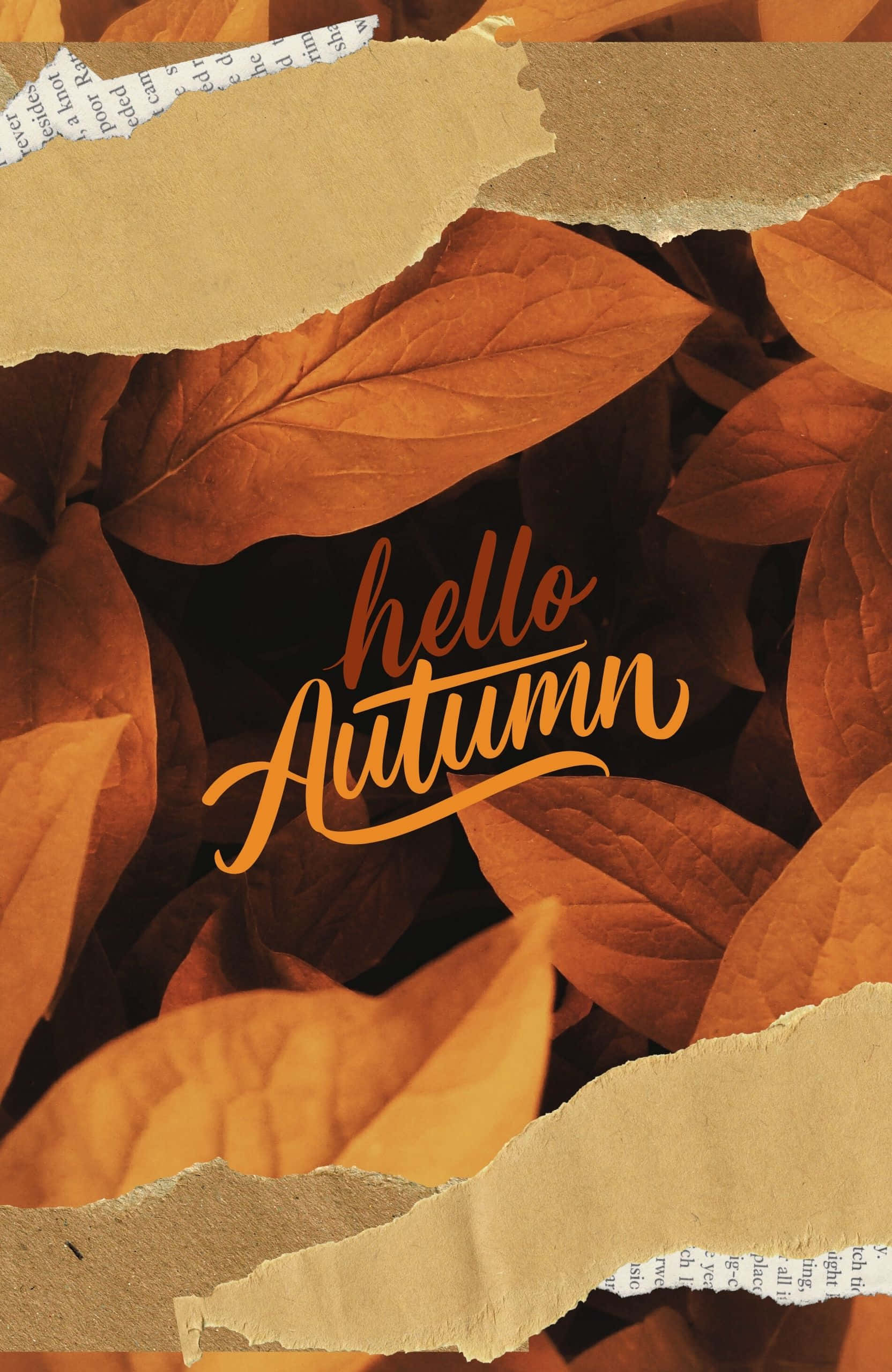 Best Fall 桌布 壁紙 — 撕破的紙張顯露出溫暖的秋葉拼貼畫，上面有金橙色的「hello Autumn」字樣。