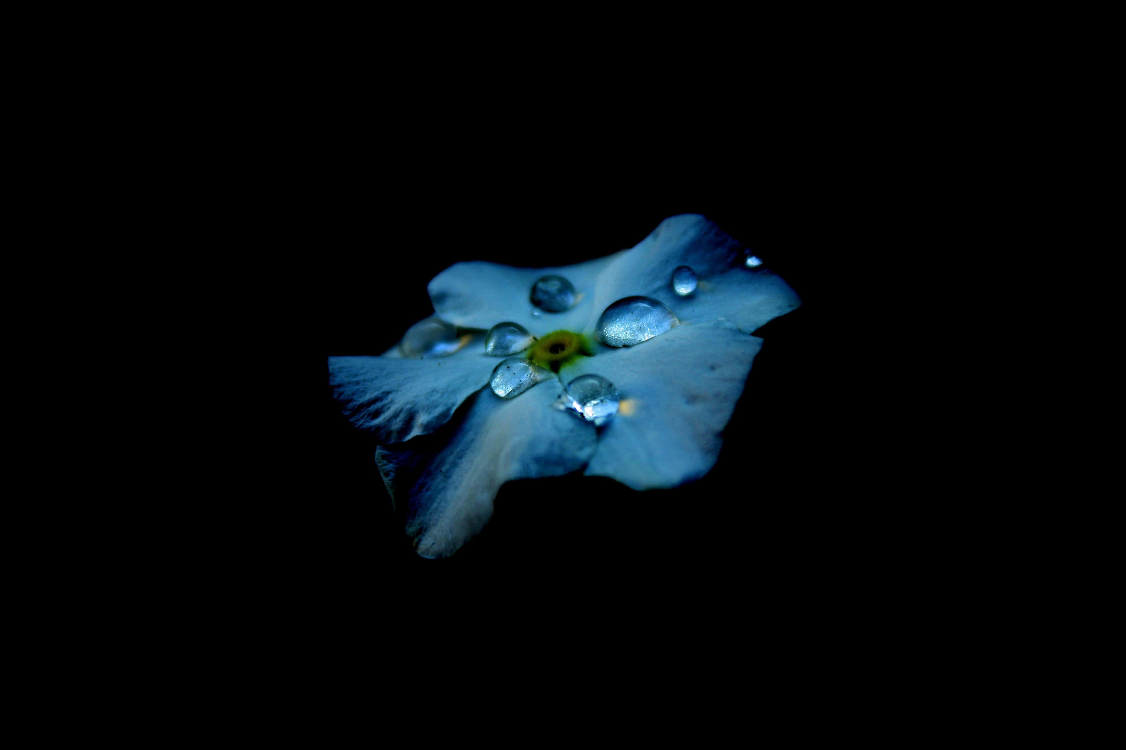 擁抱藍色AMOLED視覺體驗 壁紙