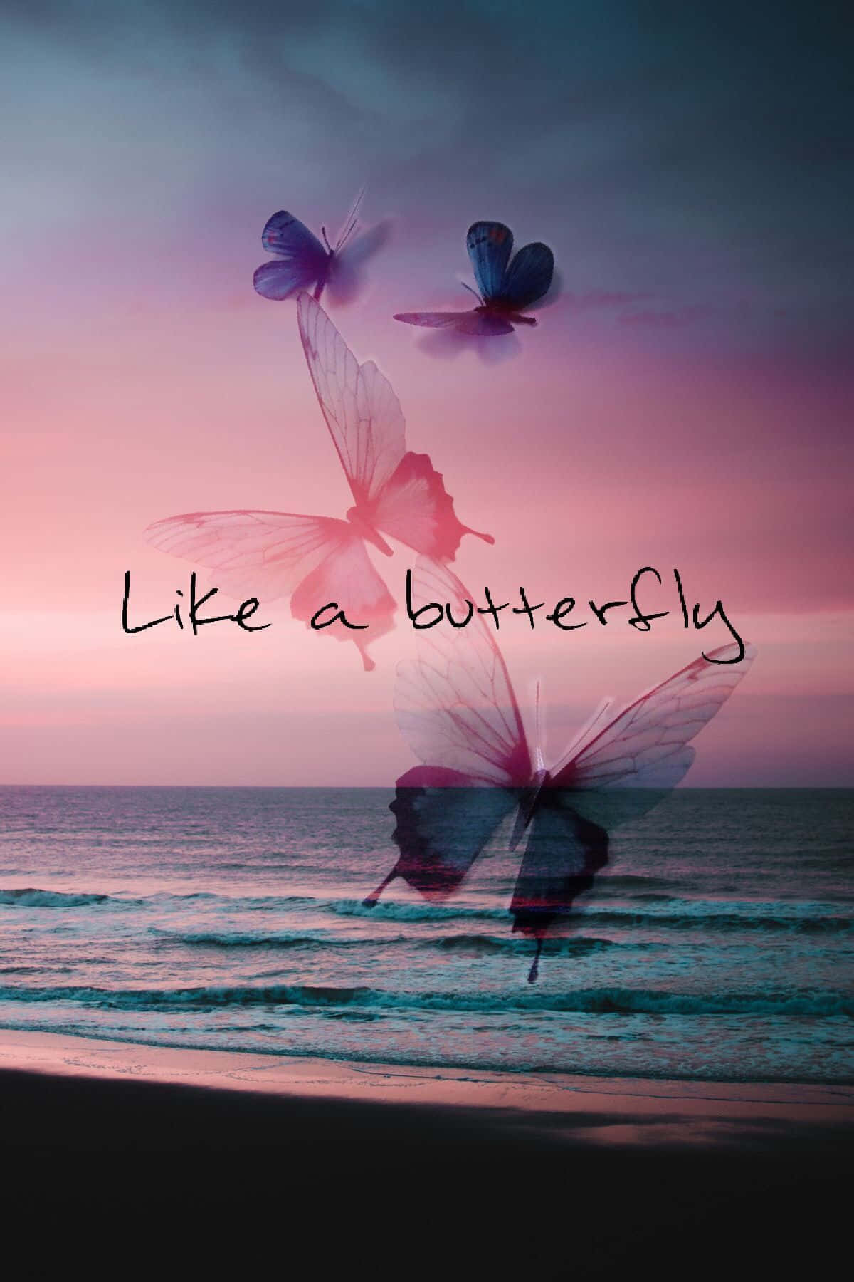 Butterfly Quotes 桌布 壁紙 — 擁有半透明翅膀的蝴蝶在日落時分翱翔於海灘上空，將粉紅色和紫色的色調投射在海浪上。