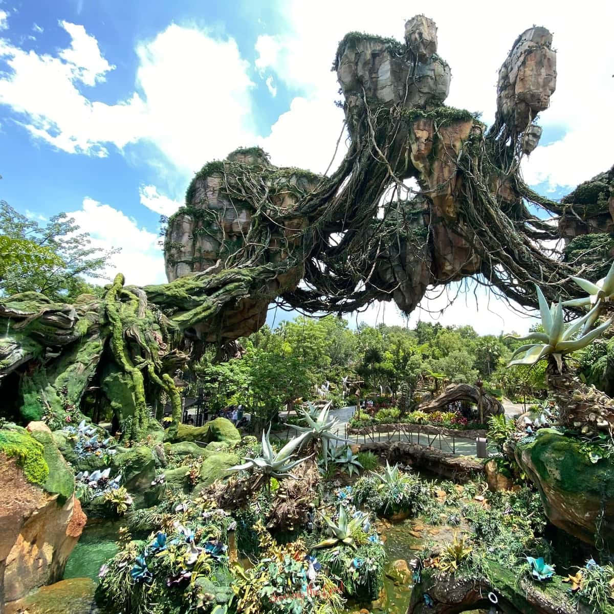 擁有樹木和植物的大型花園 壁紙