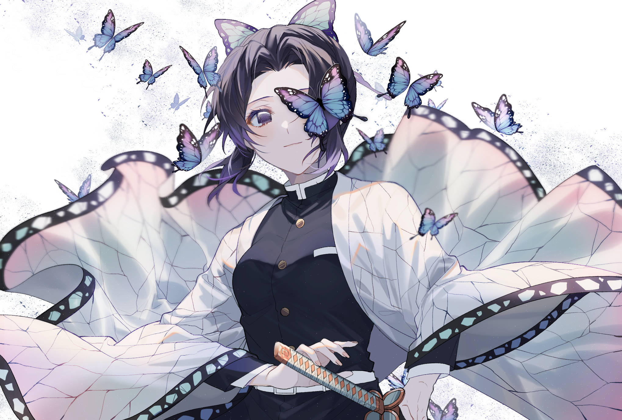 Shinobu 桌布 壁紙 — 擁有蝴蝶翅膀和貓耳的動漫少女，在明亮白色背景前被藍色蝴蝶圍繞。