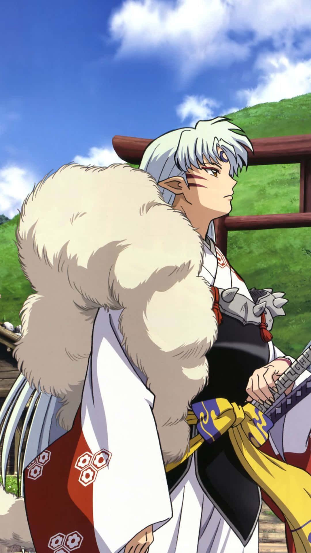 Inuyasha And Sesshomaru 桌布 壁紙 — 擁有銀色頭髮和狐狸耳朵的動漫角色，身穿傳統長袍，在藍天白雲下持劍站立。