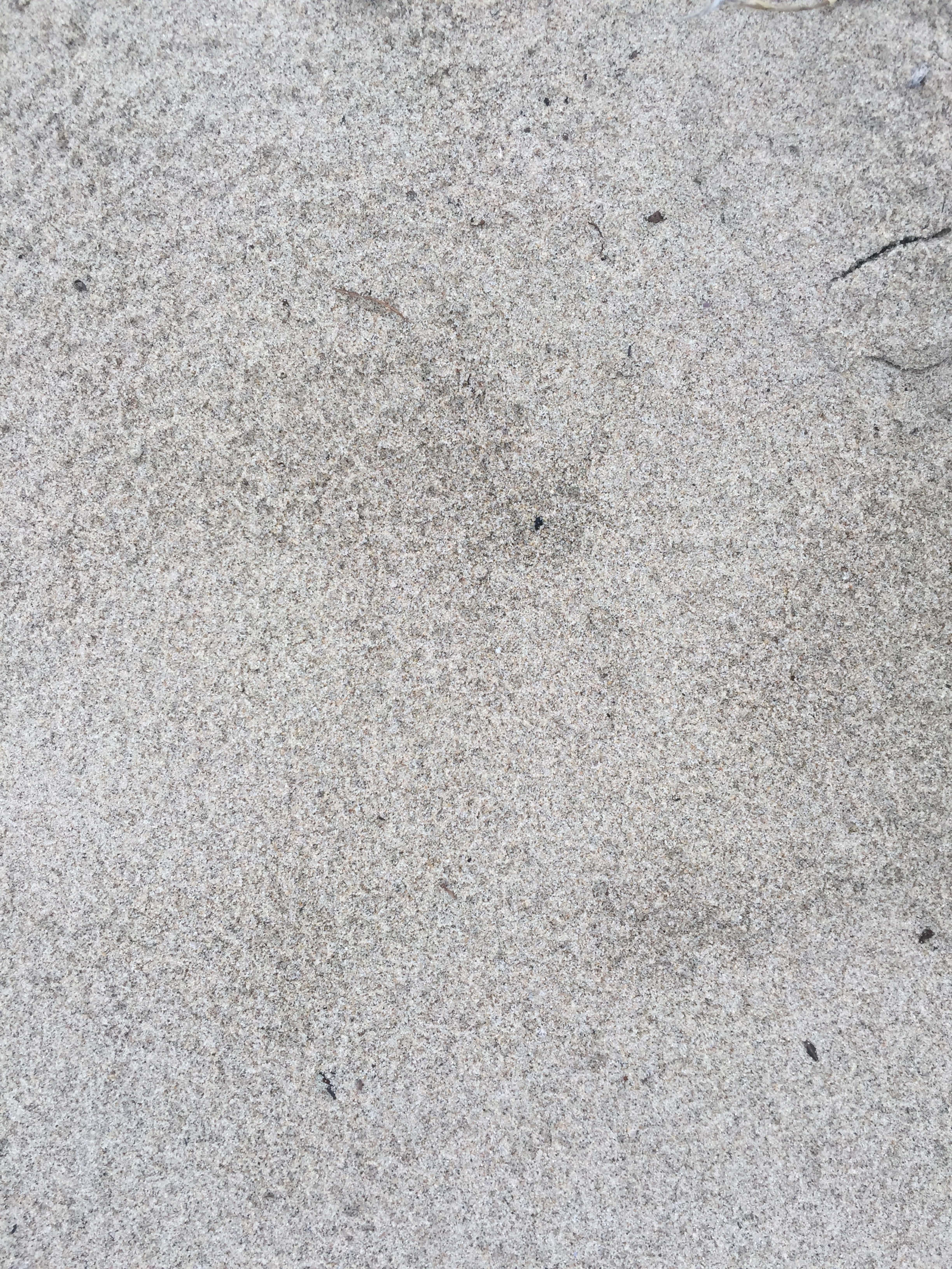 Grey Texture 桌布 壁紙 — 擴散光下粗糙紋理混凝土地面的特寫，帶有散落的深色斑點和微弱的裂縫。