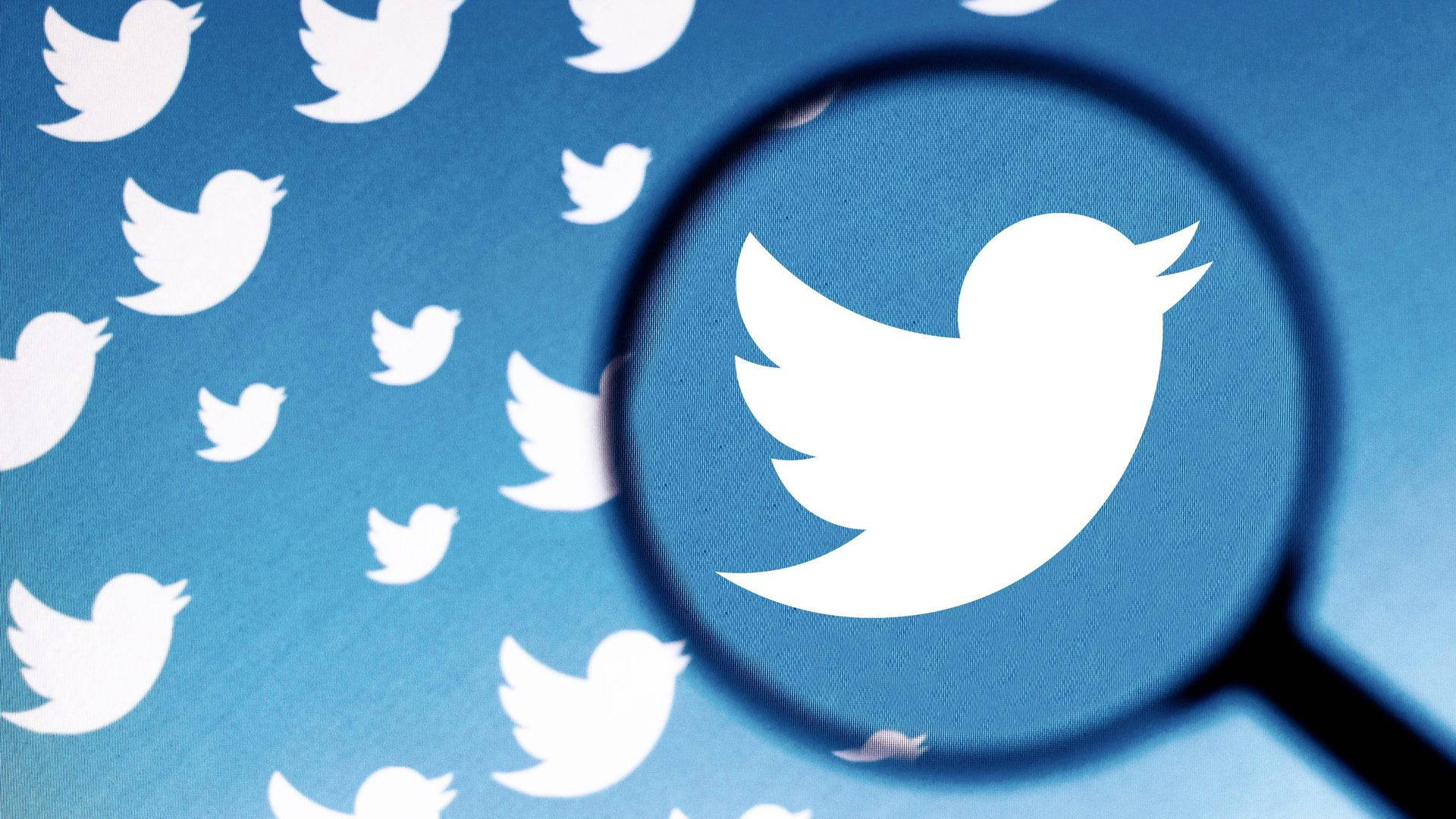 Twitter 桌布 壁紙 — 放大鏡聚焦在一個白色Twitter鳥標誌上，背景是藍色，充滿重複的鳥圖標。