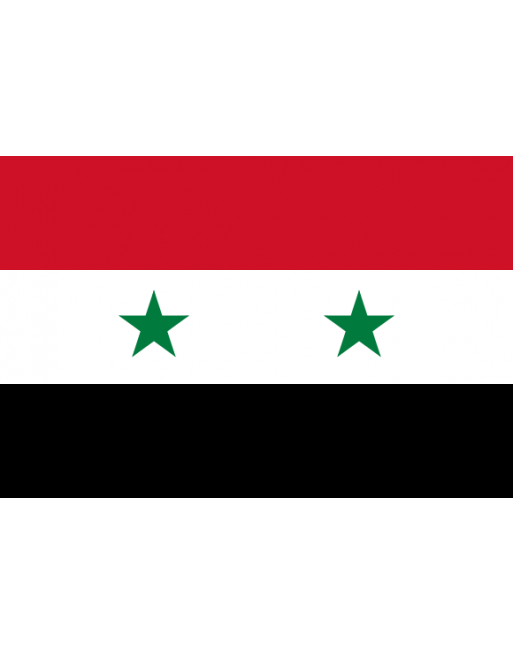 Syria 桌布 壁紙 — 敘利亞國旗有水平紅、白、黑條紋，白色帶中央有兩顆綠色星星。