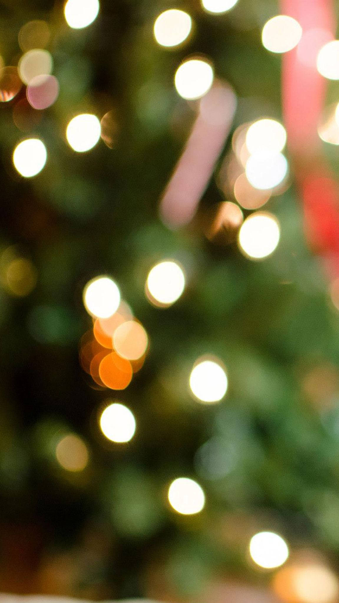 Christmas Lights iPhone 桌布 壁紙 — 散景燈光在模糊的綠色樹木背景下溫暖地發光，營造出節日的假期氛圍。