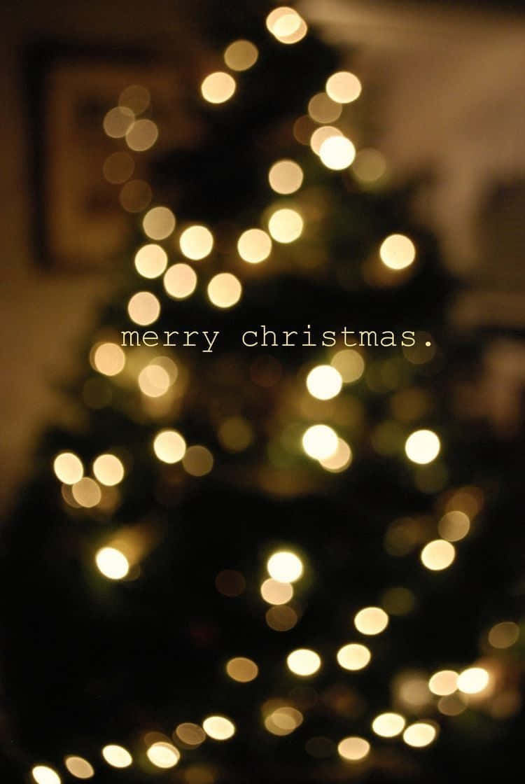 聖誕美學 桌布 壁紙 — 散景燈光在模糊的聖誕樹上柔和閃爍，前景中「merry christmas」文字溫暖發光。