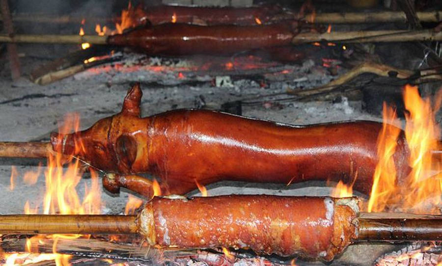 Pig 桌布 壁紙 — 整隻烤豬在竹竿上於明火上方旋轉，營造傳統戶外燒烤氛圍。