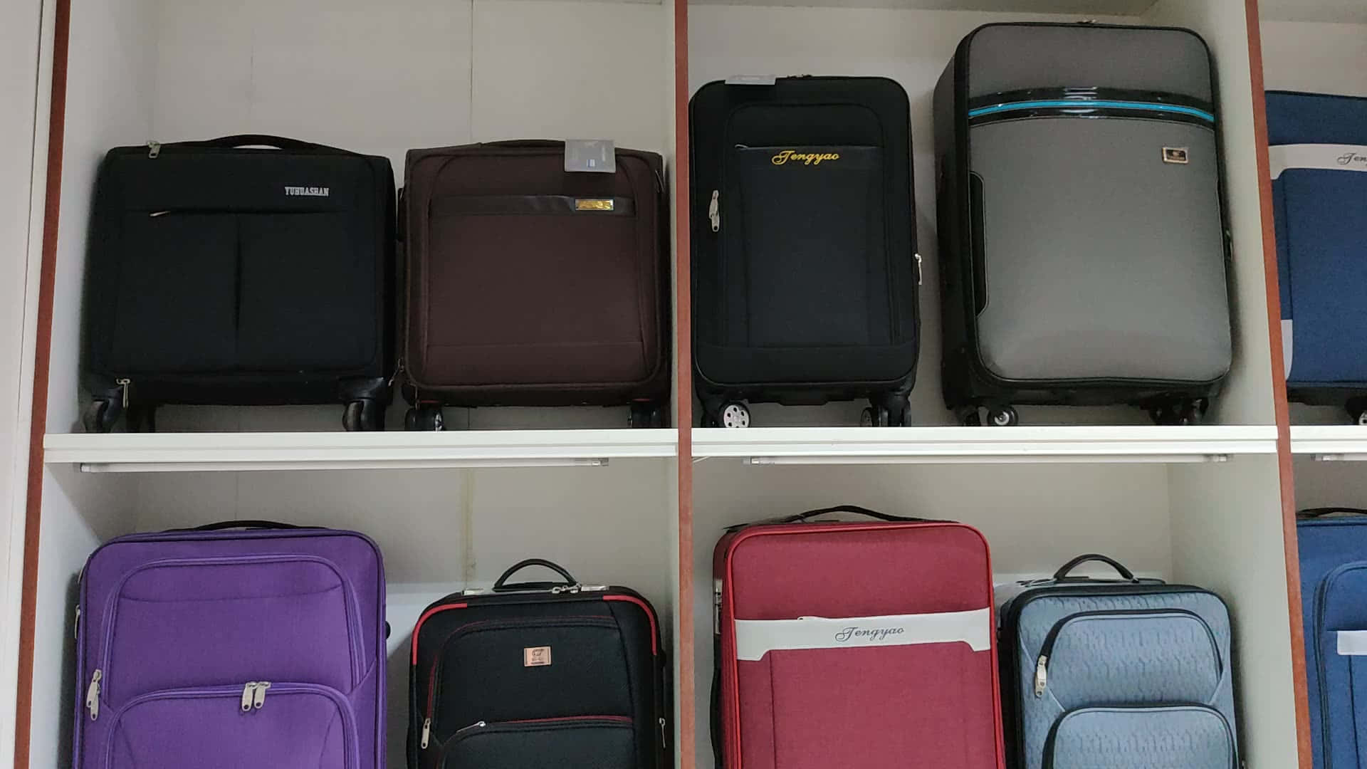 Purple Travel Bag 桌布 壁紙 — 整齊排列的彩色行李箱放在白色層架單元中，準備好旅行。