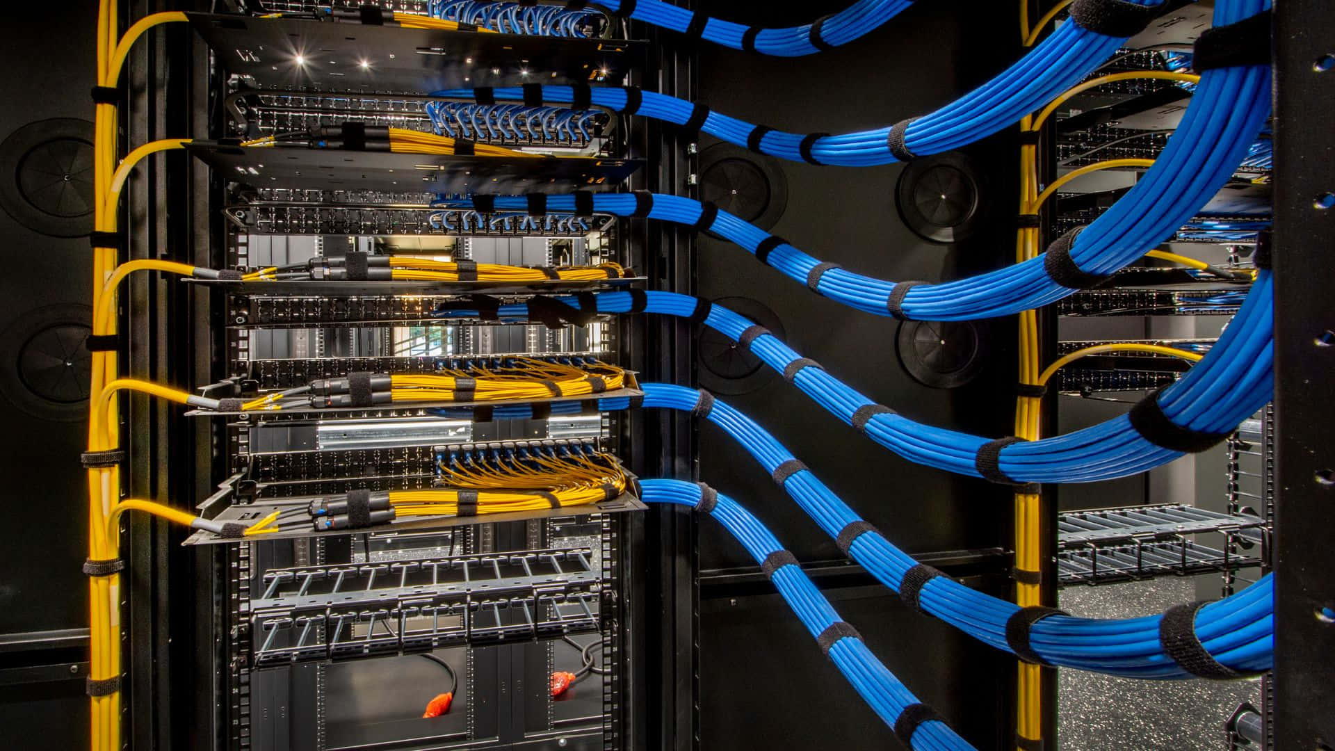 Gaming Servers 桌布 壁紙 — 整齊排列的藍色和黃色網路電纜蜿蜒穿過數據中心的黑色伺服器機架。