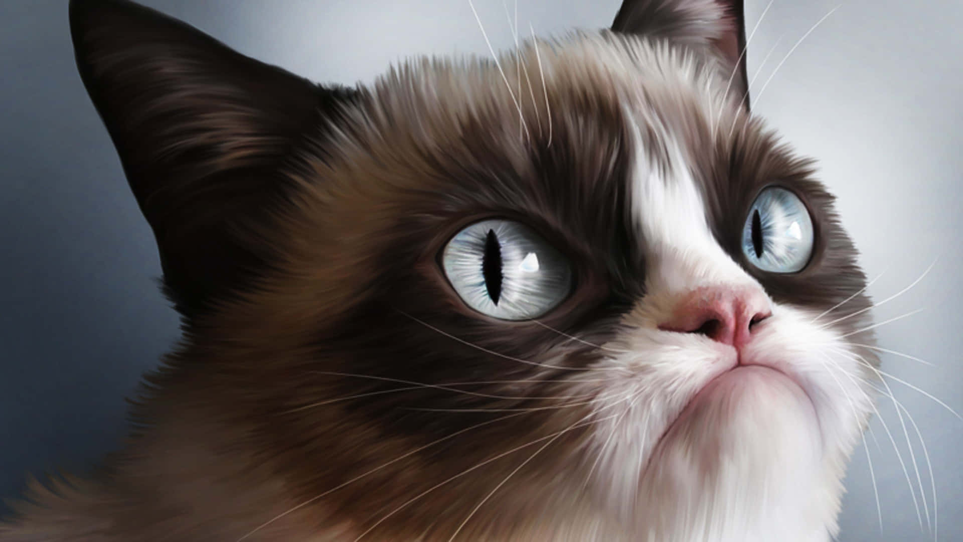 Silly Cat 桌布 壁紙 — 數位渲染的著名臭臉貓特寫，有著大藍眼睛和皺眉，背景是柔和的灰色。
