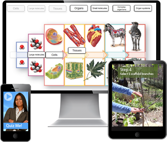 Interactive 桌布 壁紙 — 數位生物教育介面，顯示從分子到斑馬的細胞層次結構，螢幕上帶有顯示測驗和園藝應用程式的行動裝置。
