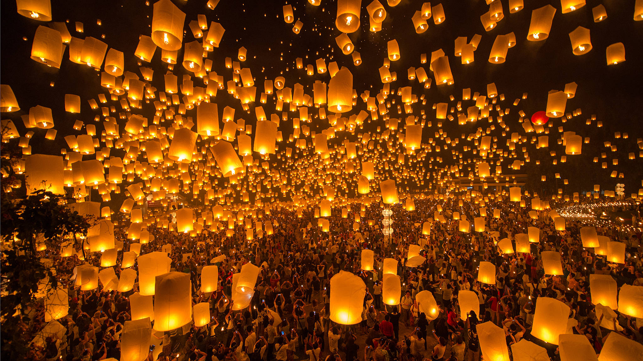 Bangkok 桌布 壁紙 — 數千盞發光的天燈在夜間從密集的人群上方升起，散發出溫暖的金色光芒。
