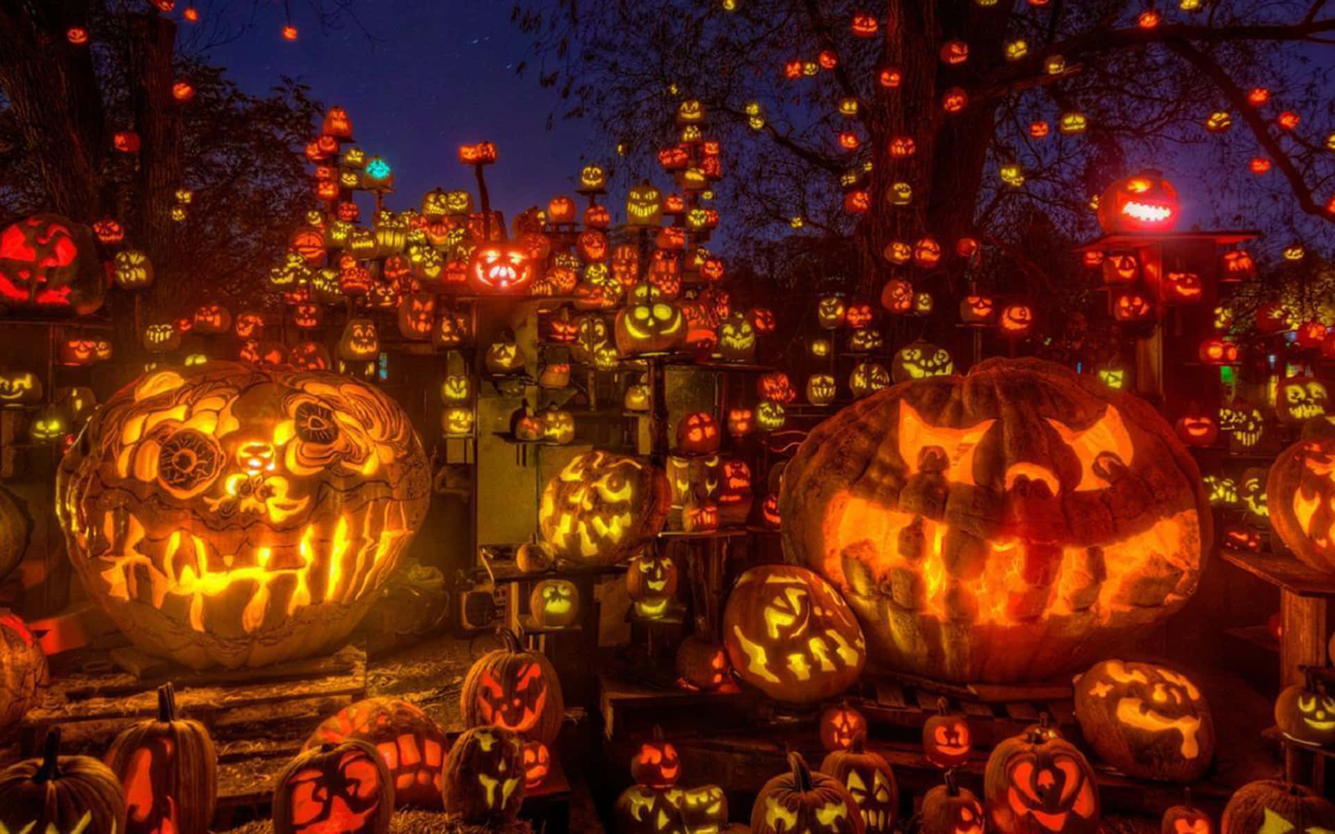 Beautiful Halloween 桌布 壁紙 — 數百個發光的傑克南瓜燈，帶有精細雕刻，在黃昏時照亮黑暗的森林，營造出節日般的萬聖節場景。