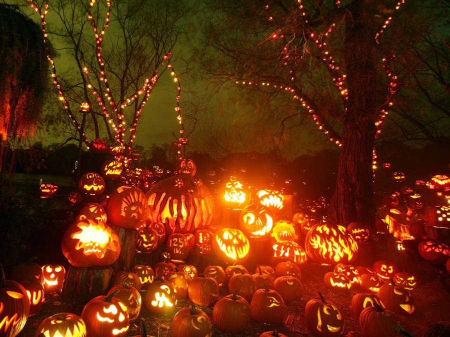 Fall 桌布 壁紙 — 數百個發光的傑克南瓜燈，雕刻著面孔，照亮了夜晚的黑暗森林，光禿禿的樹上掛著閃爍的燈串。