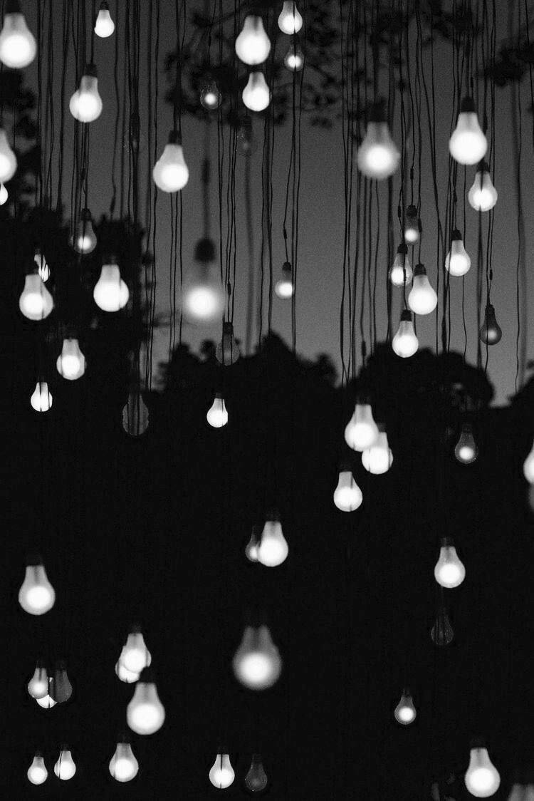 Aesthetic Black And White 桌布 壁紙 — 數百個發光的燈泡懸掛在黑暗中，在剪影樹木的襯托下形成夢幻般的單色天篷。